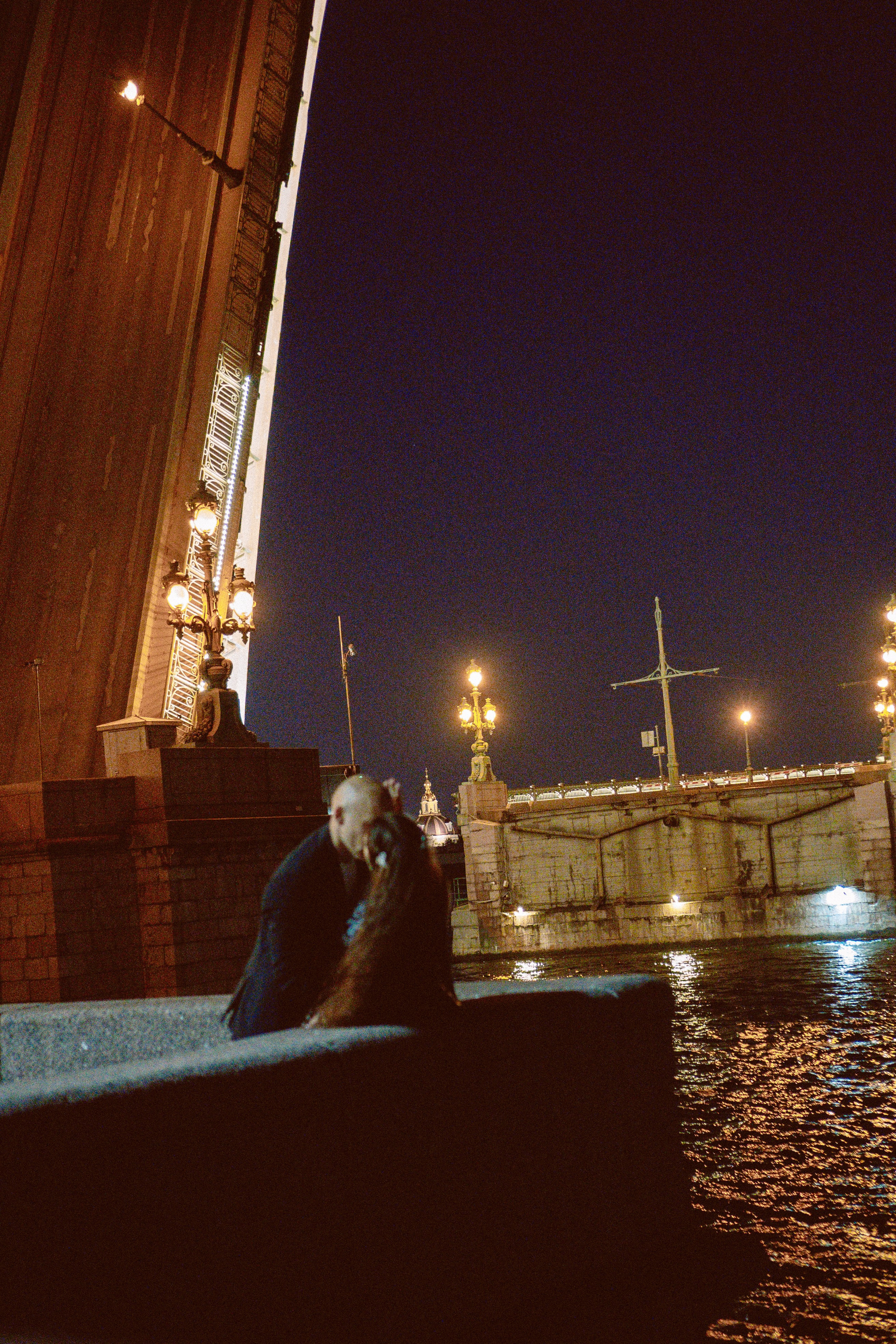 Любовь и питер. Профессиональный фотограф, Санкт-Петербург — Виктория Богомолова