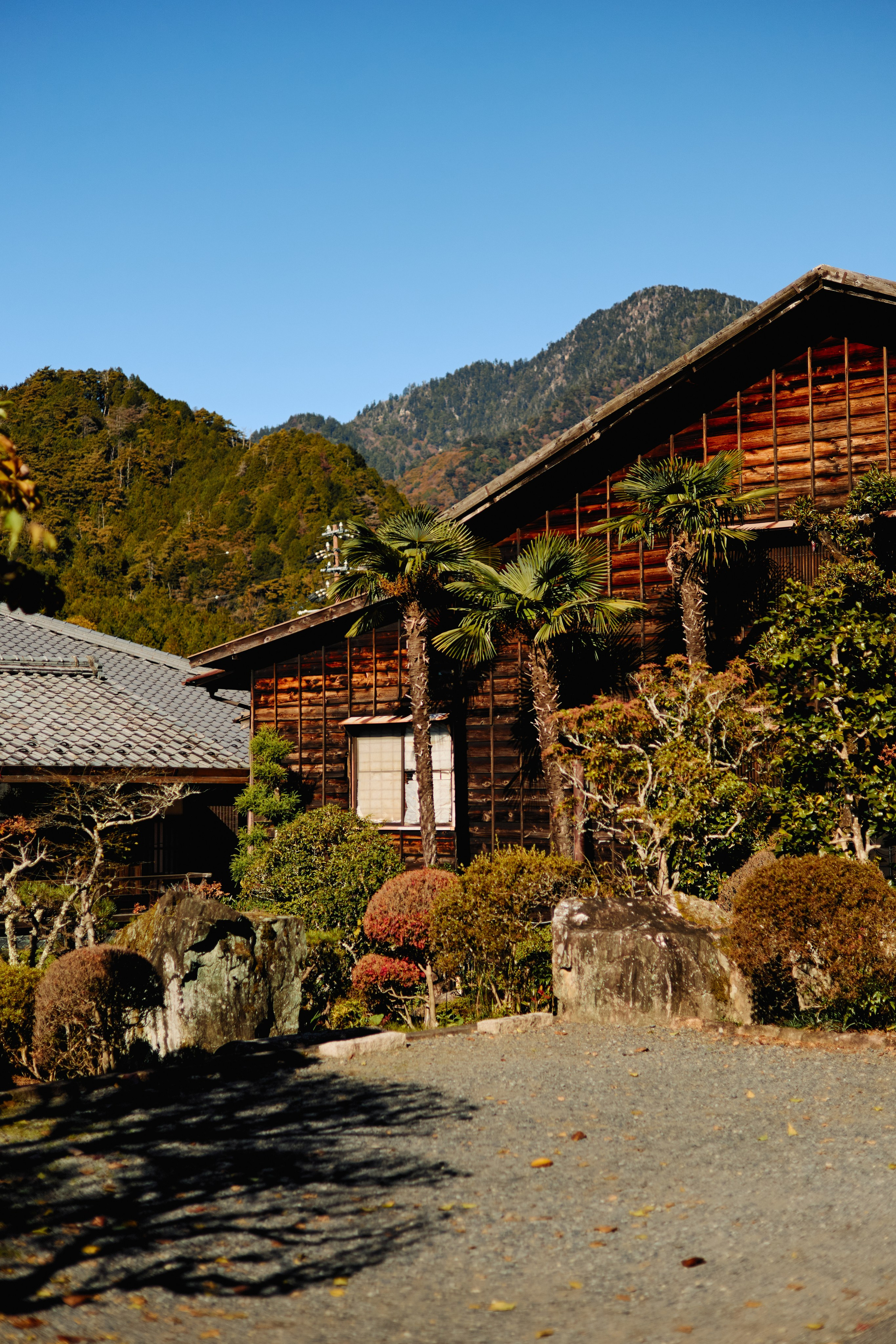 Япония. Профессиональный Фотограф во Владимире, в Москве и в Суздале — Полина Романычева