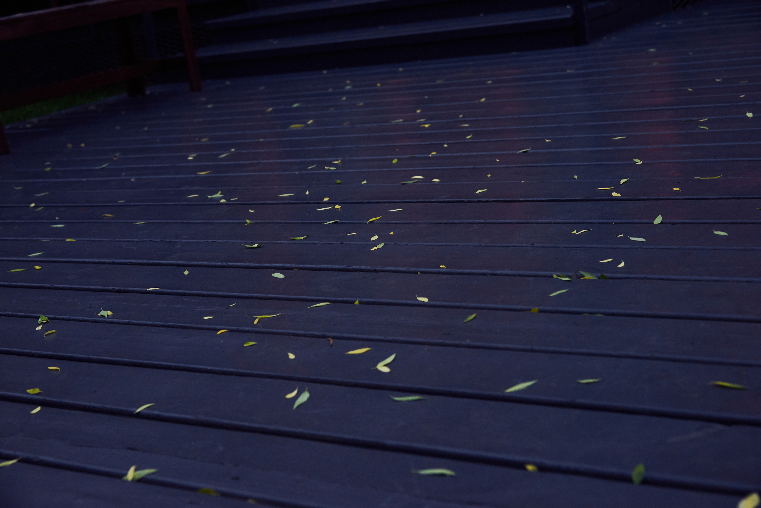 Свадебная фотосессия, Яхт-клуб Нептун. Свадебный фотограф в Москве Станислав Донченко