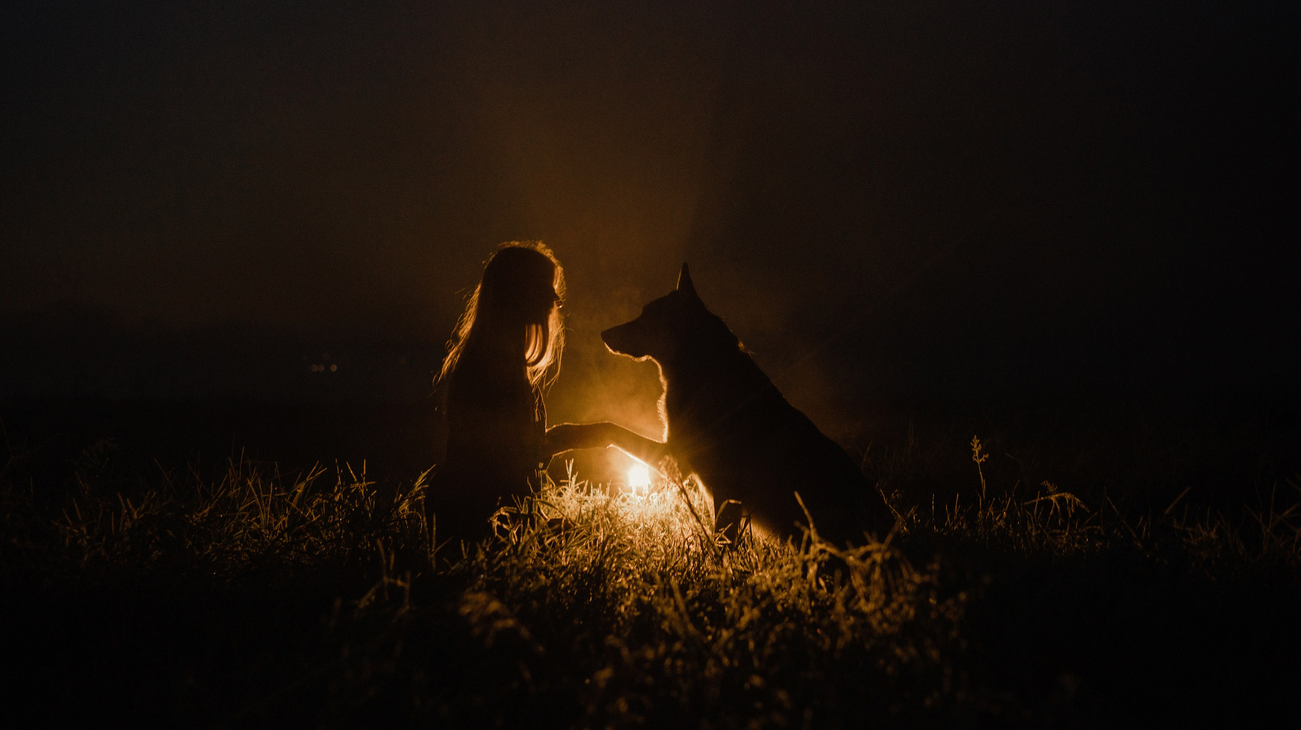 Полина и Вегард. Фотограф-анималист Богданова Полина