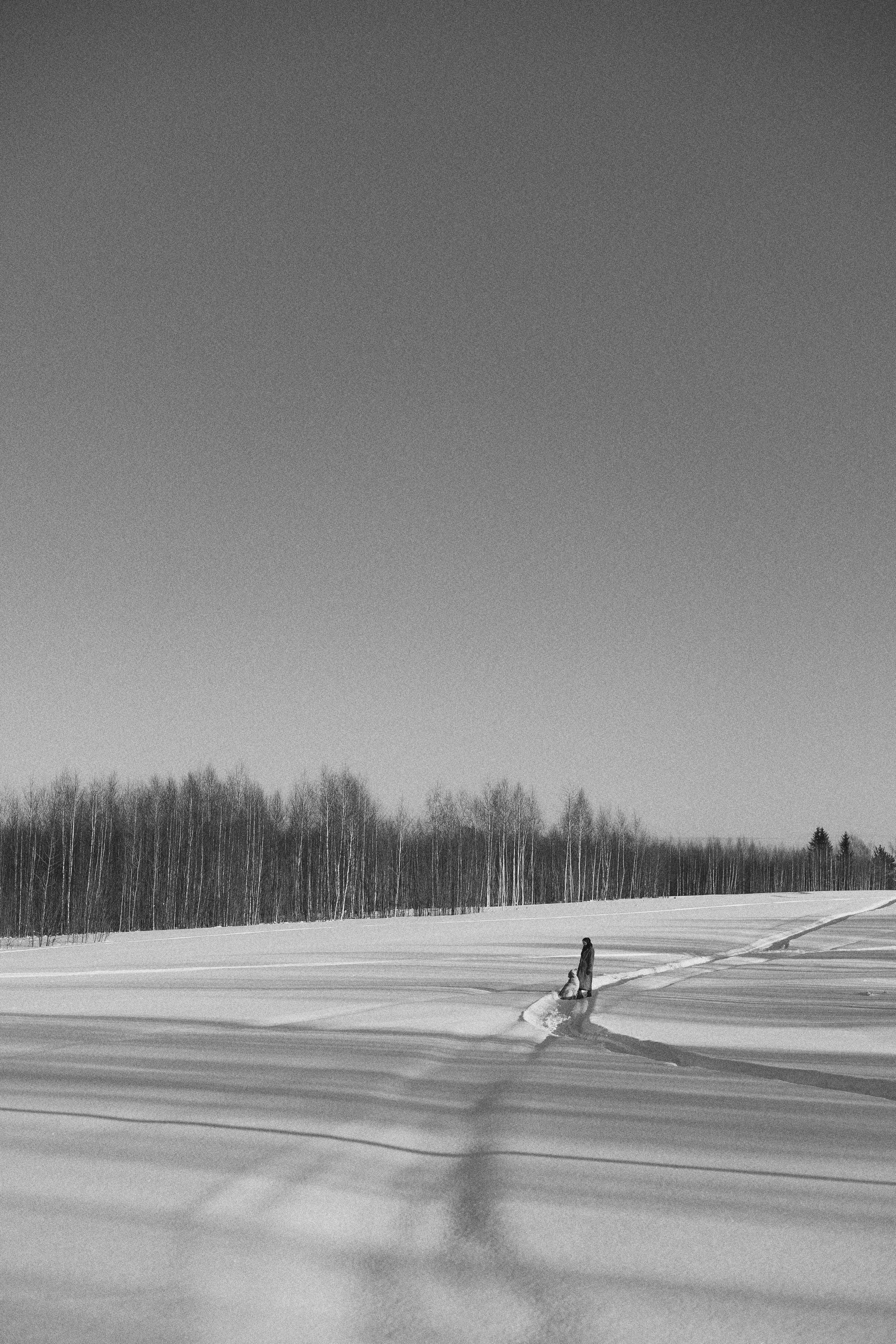 Лена и Декстер. Фотограф-анималист Богданова Полина