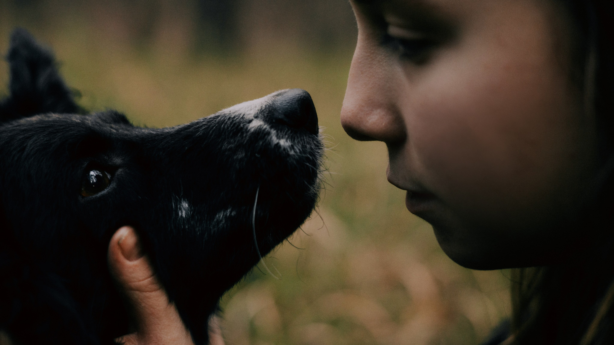 Полина и Сейви. Фотограф-анималист Богданова Полина