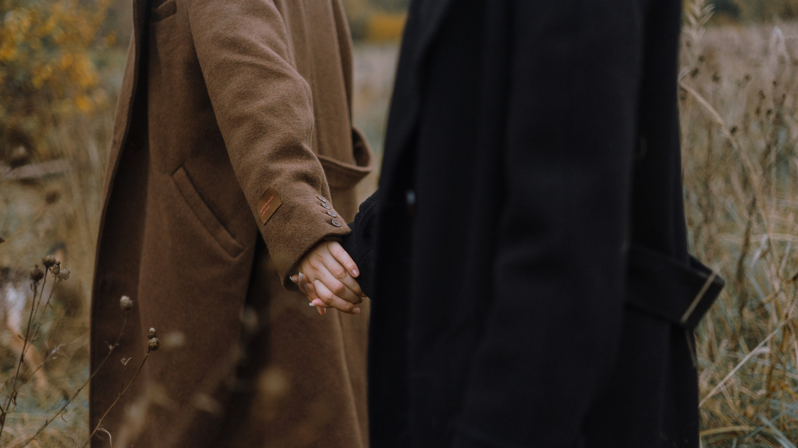 Маша, Катя, Астрид и Мася. Фотограф-анималист Богданова Полина