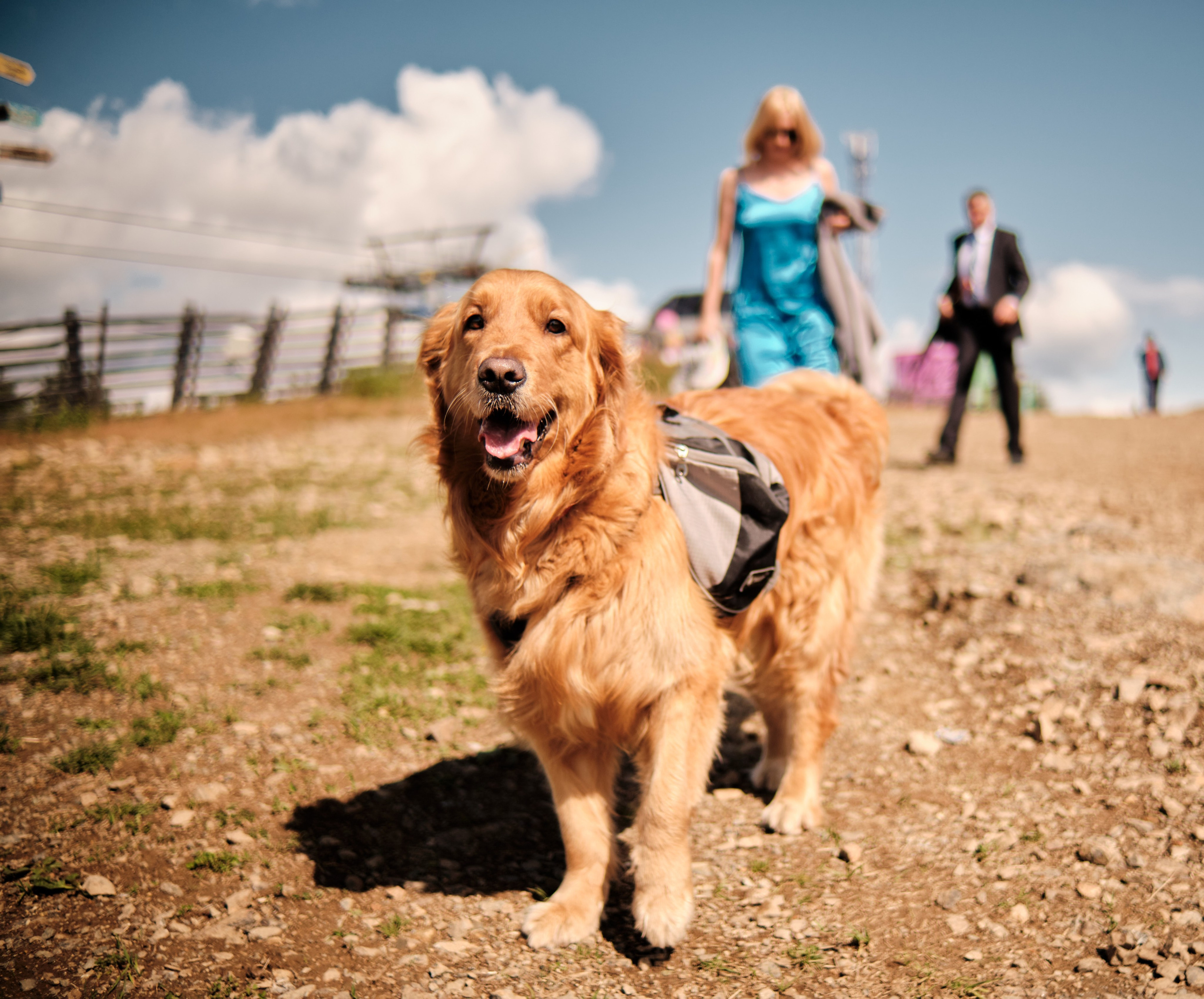 Друзья. Свадебный и семейный фотограф в Новокузнецке Иван Иванов