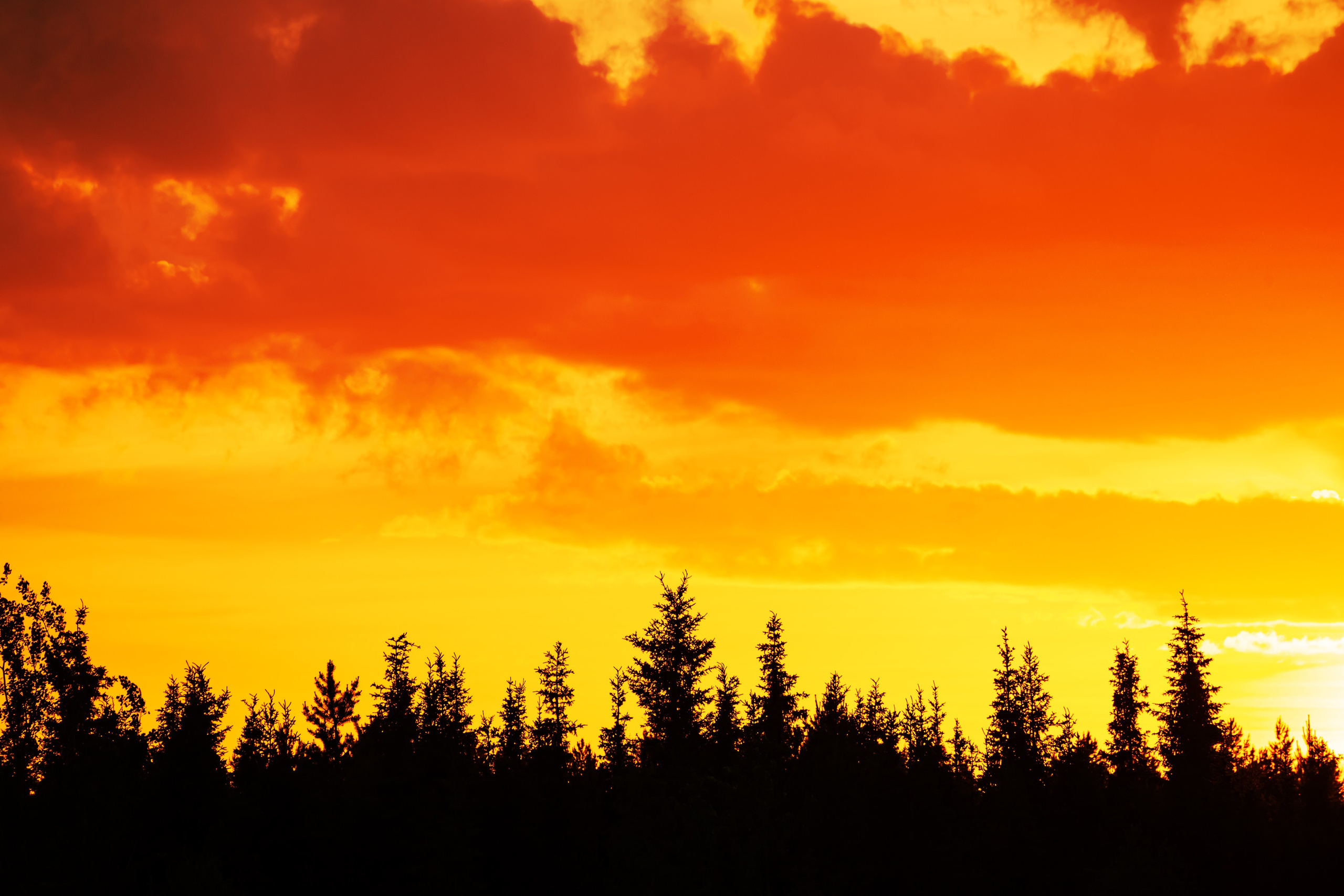 Кольский полуостров. Тревел-фотограф Елизавета Ларионова