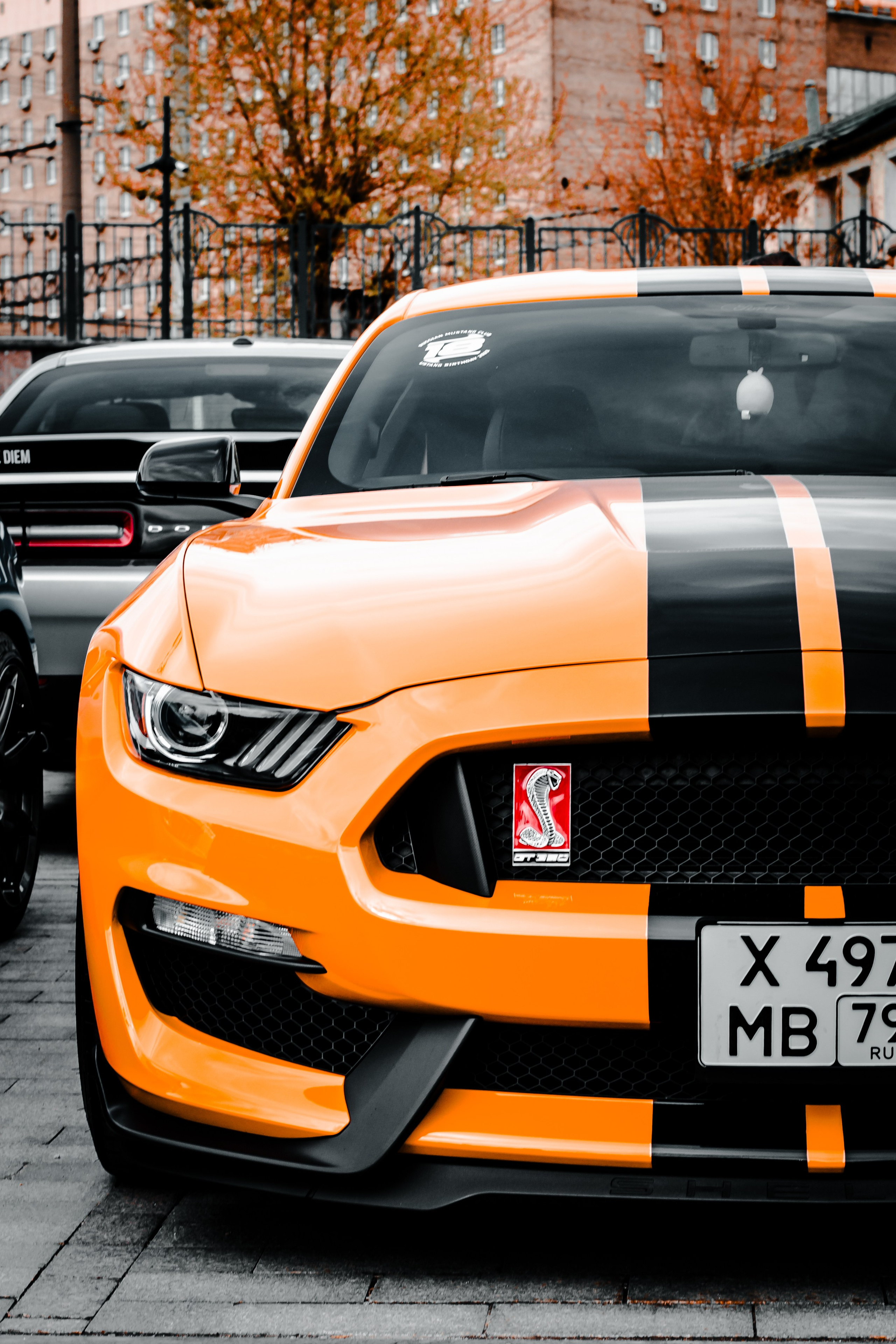 Машины/гонки. Violetta.avs Фотограф