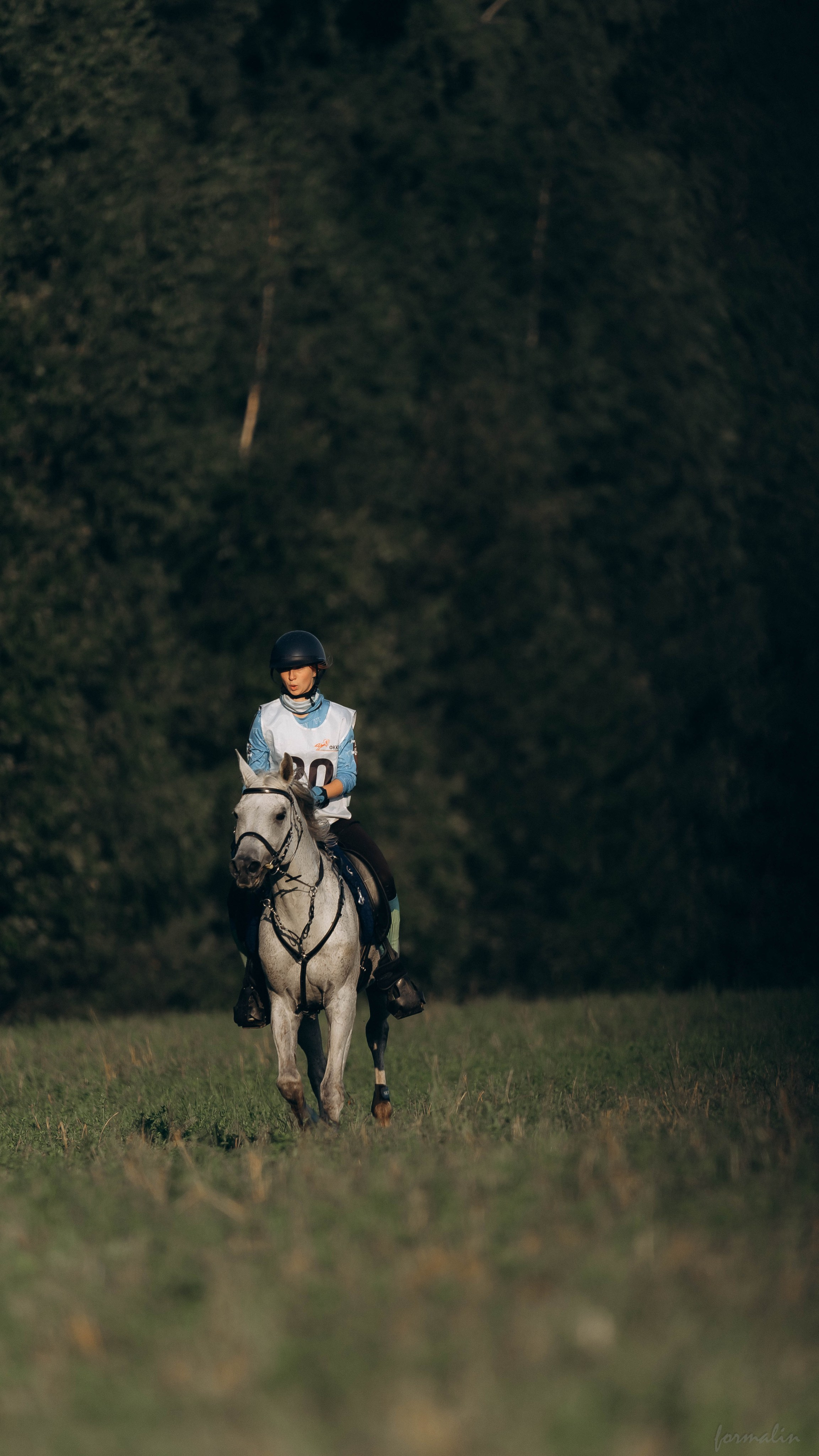 День Коня. Алиса Никитцова | Фотограф в Казани