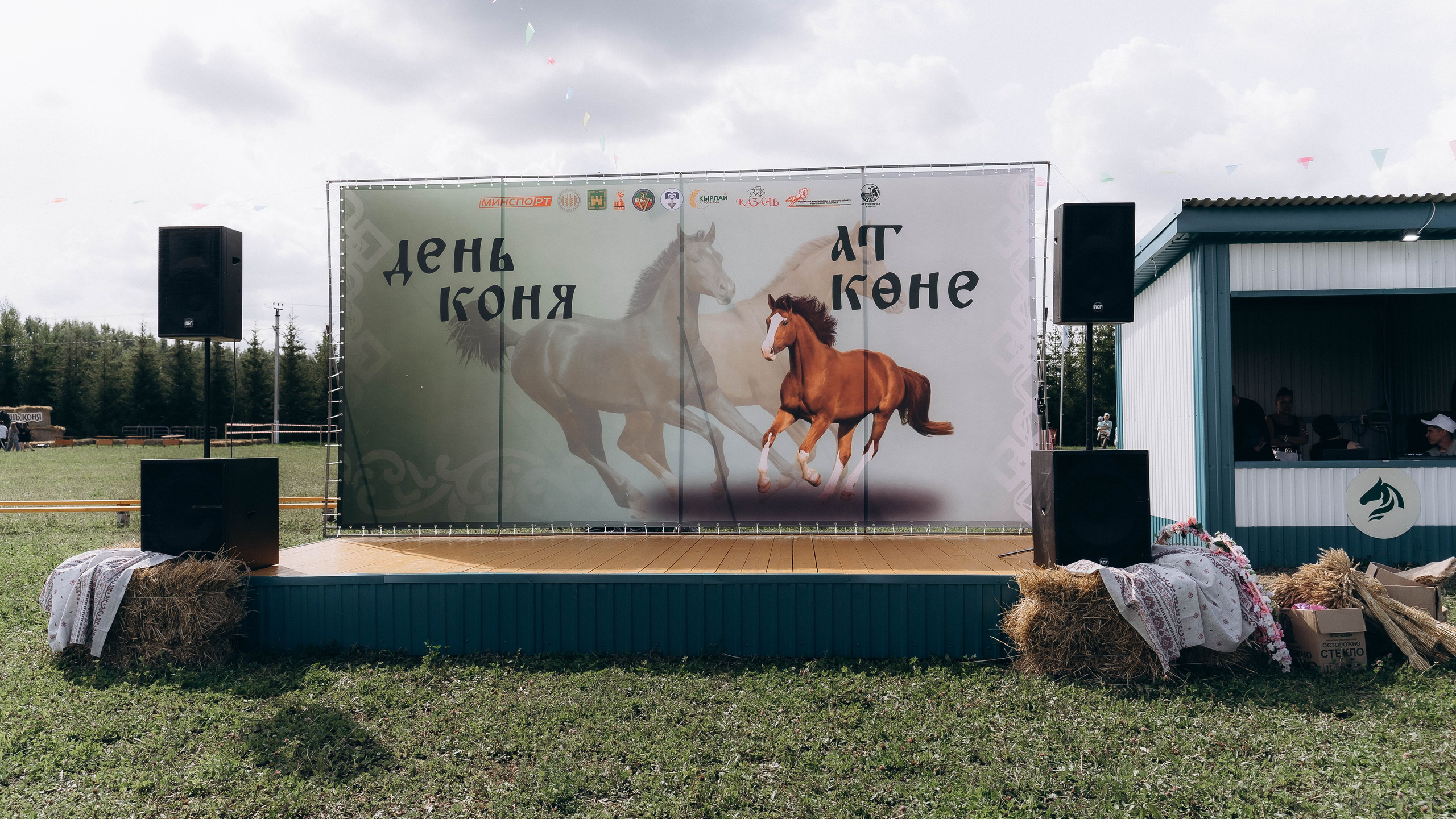 День Коня. Алиса Никитцова | Фотограф в Казани