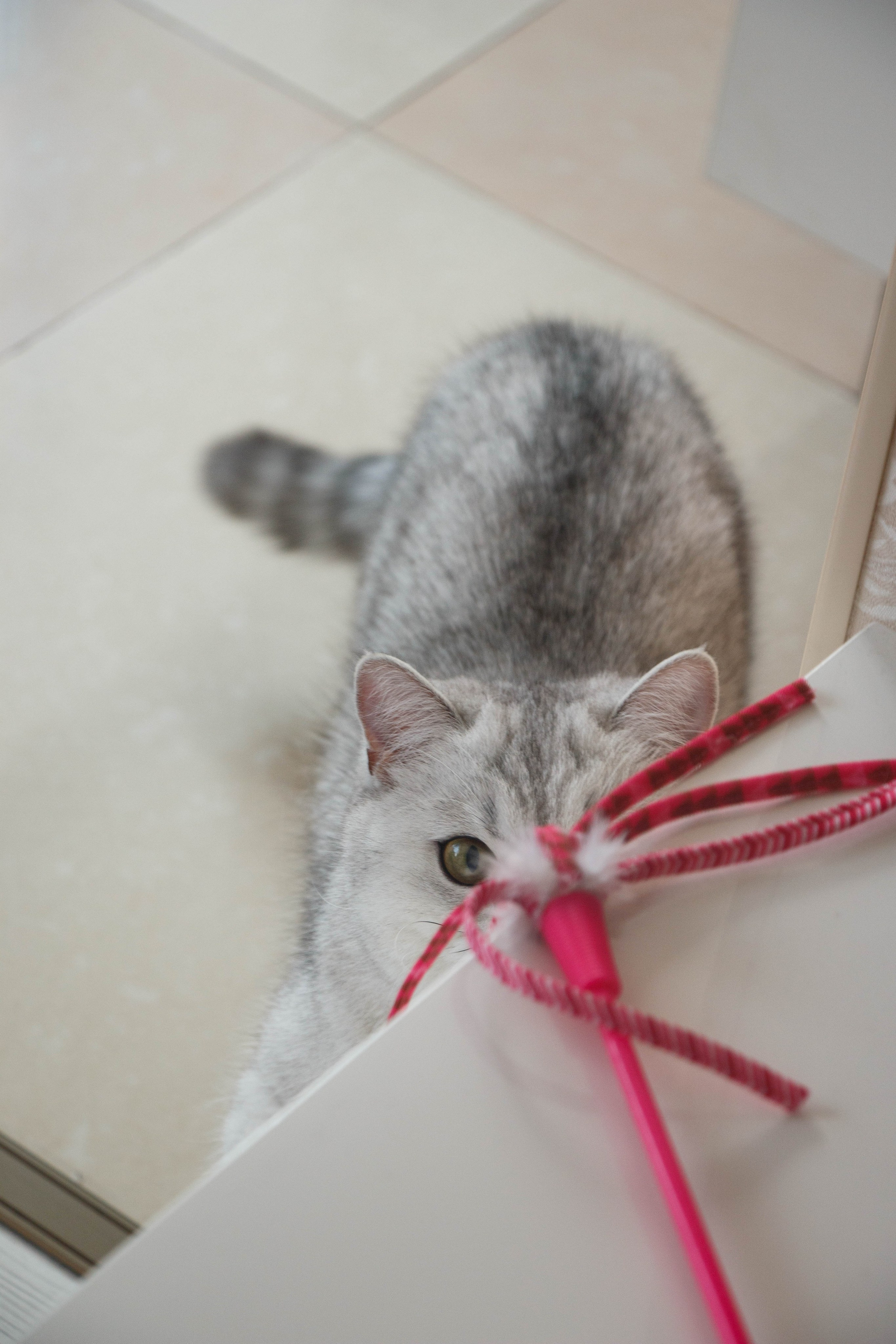 NASTYA & KITTI. Бережно сохраняю ваши чувства и истории на своих фотографиях