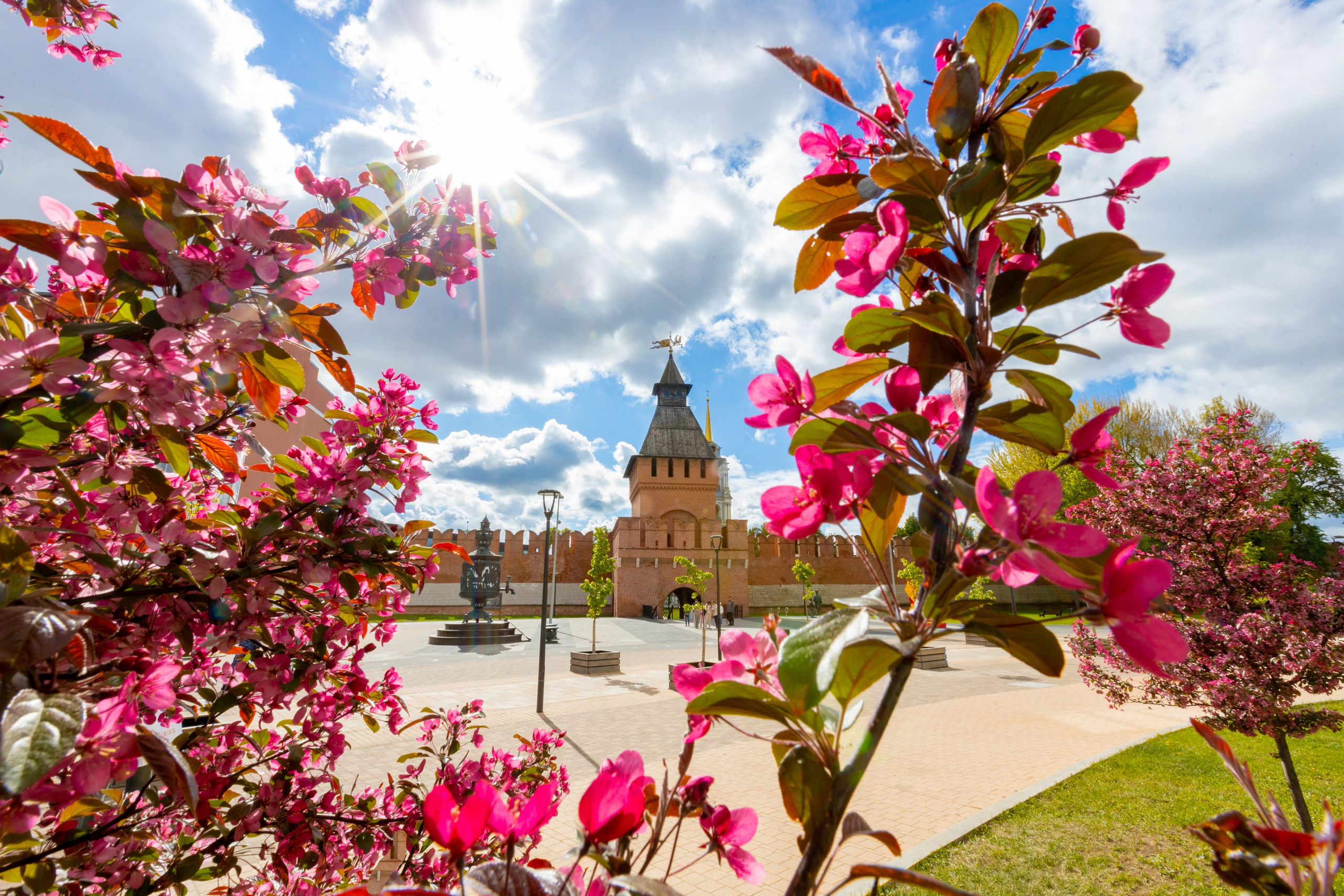 Весеннее цветение в Туле. Фотограф в Туле Крупский АнДРей. Фотостудия «КАДР71» в Туле
