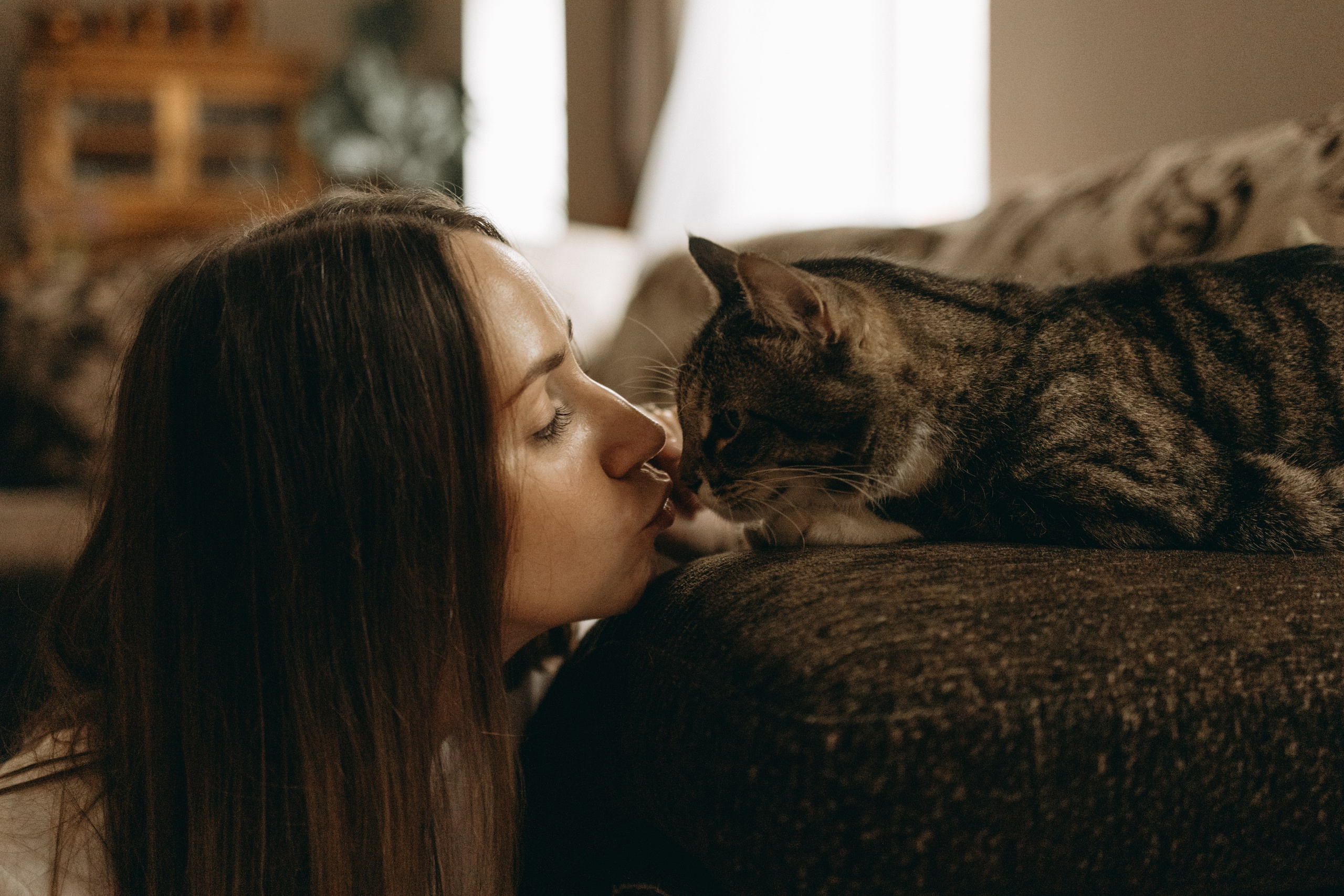 Софа и ее хвостики. Фотограф — Анималист | Санкт-Петербург