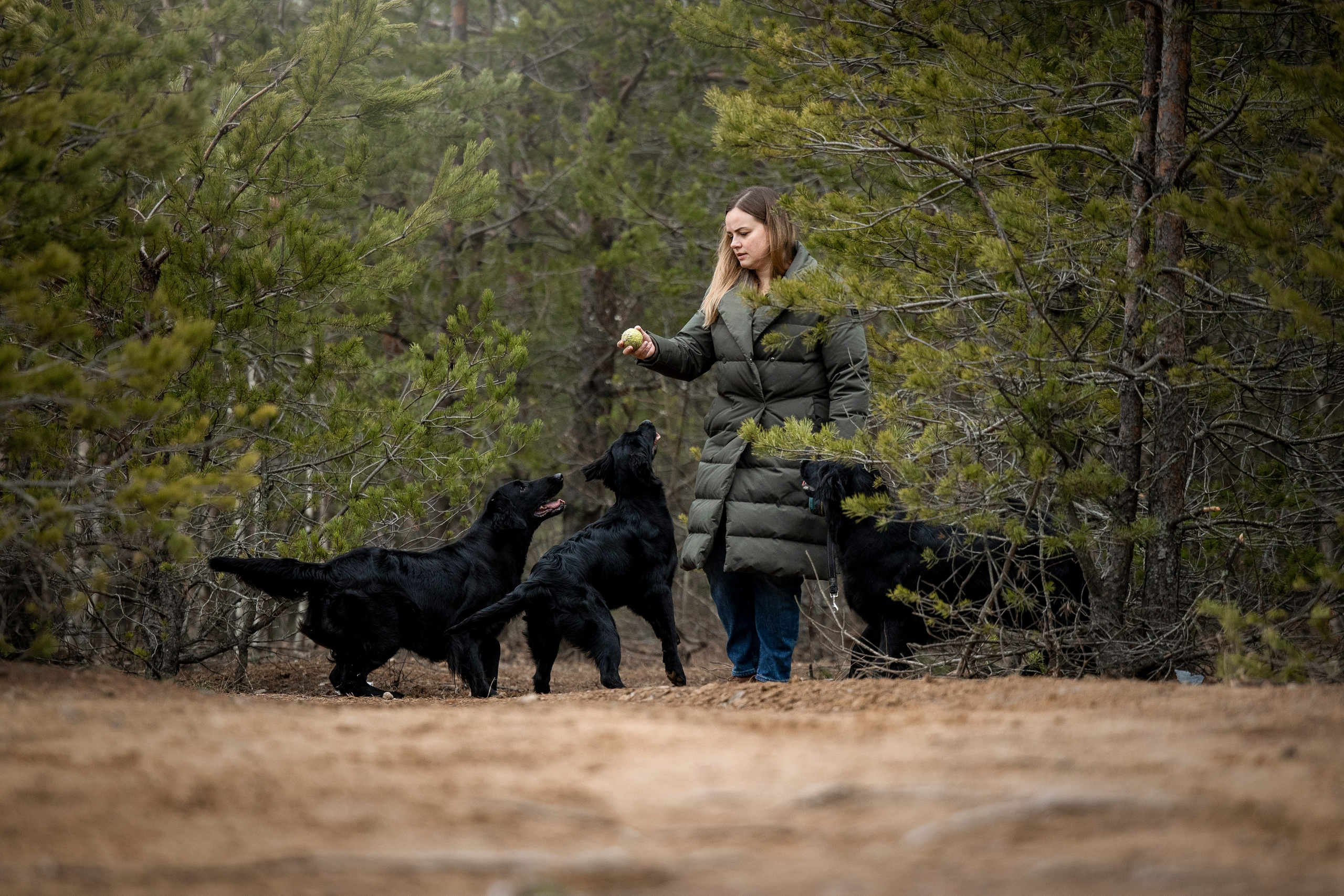 Ора, Ева, Рози и их семья. Фотограф — Анималист | Санкт-Петербург