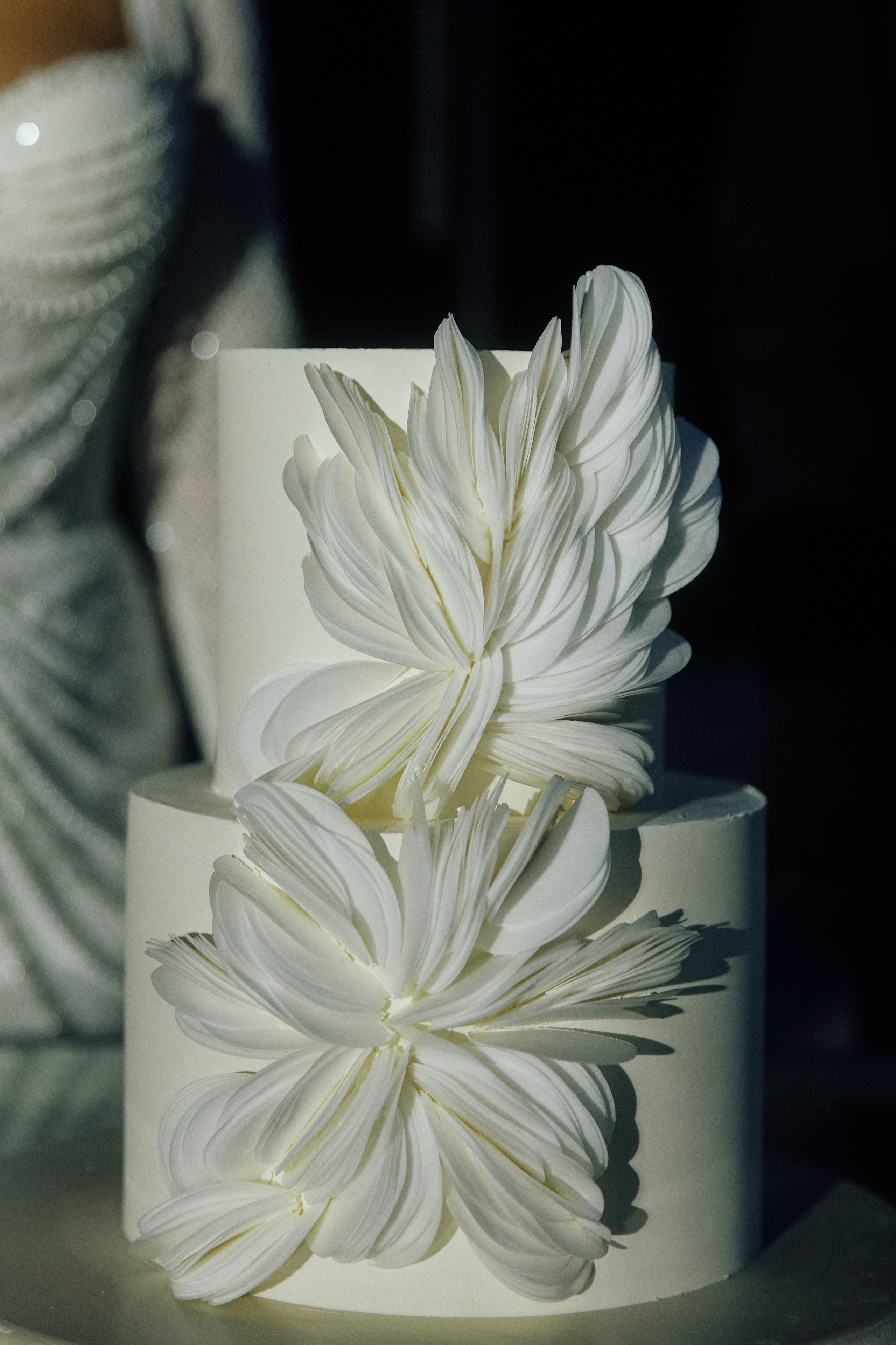 ALL IN ON LOVE. Дмитрий Мазуркевич: Профессиональный Репортажный Фотограф