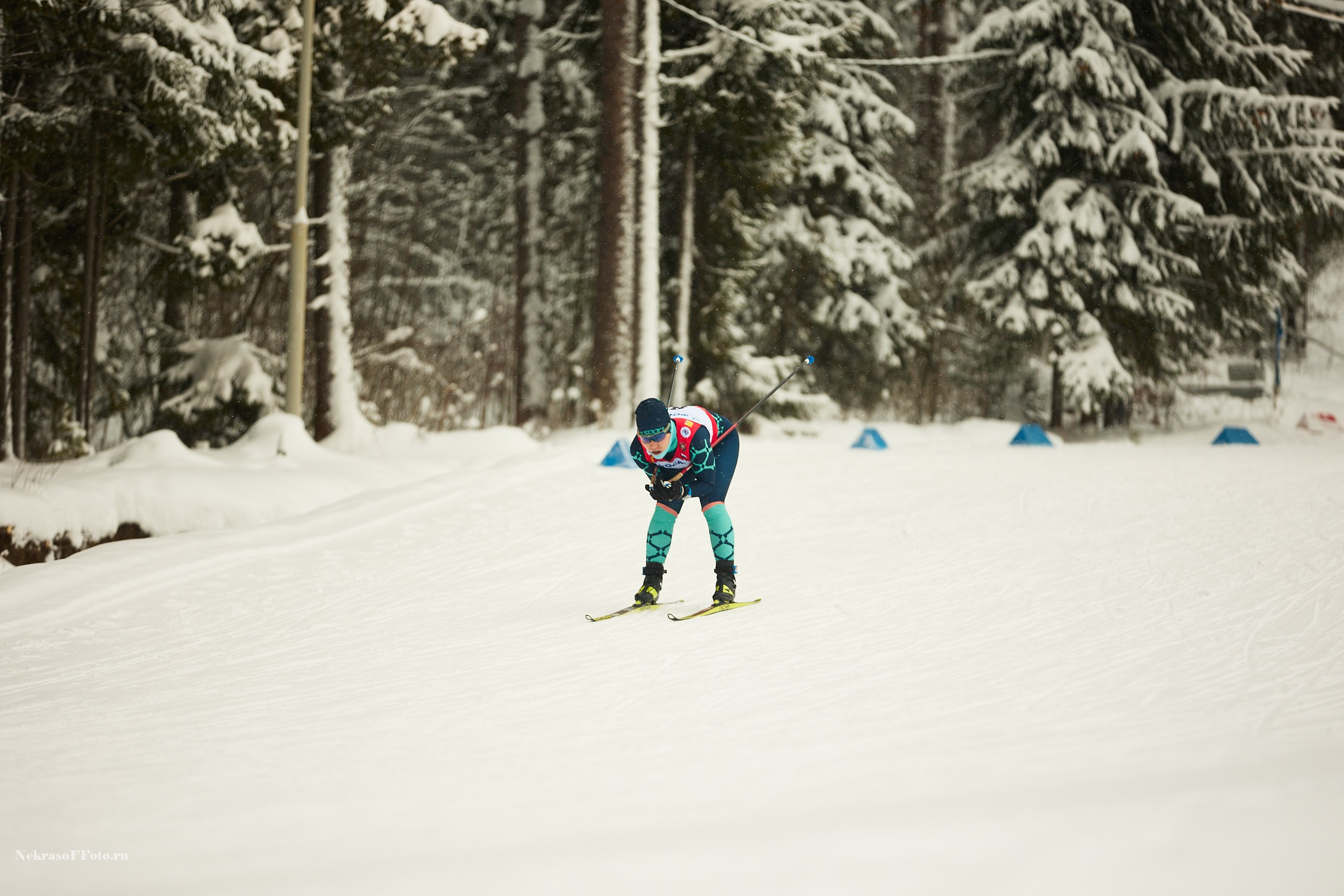Кубок России по Лыжным гонкам. Спортивный фотограф Некрасов Денис