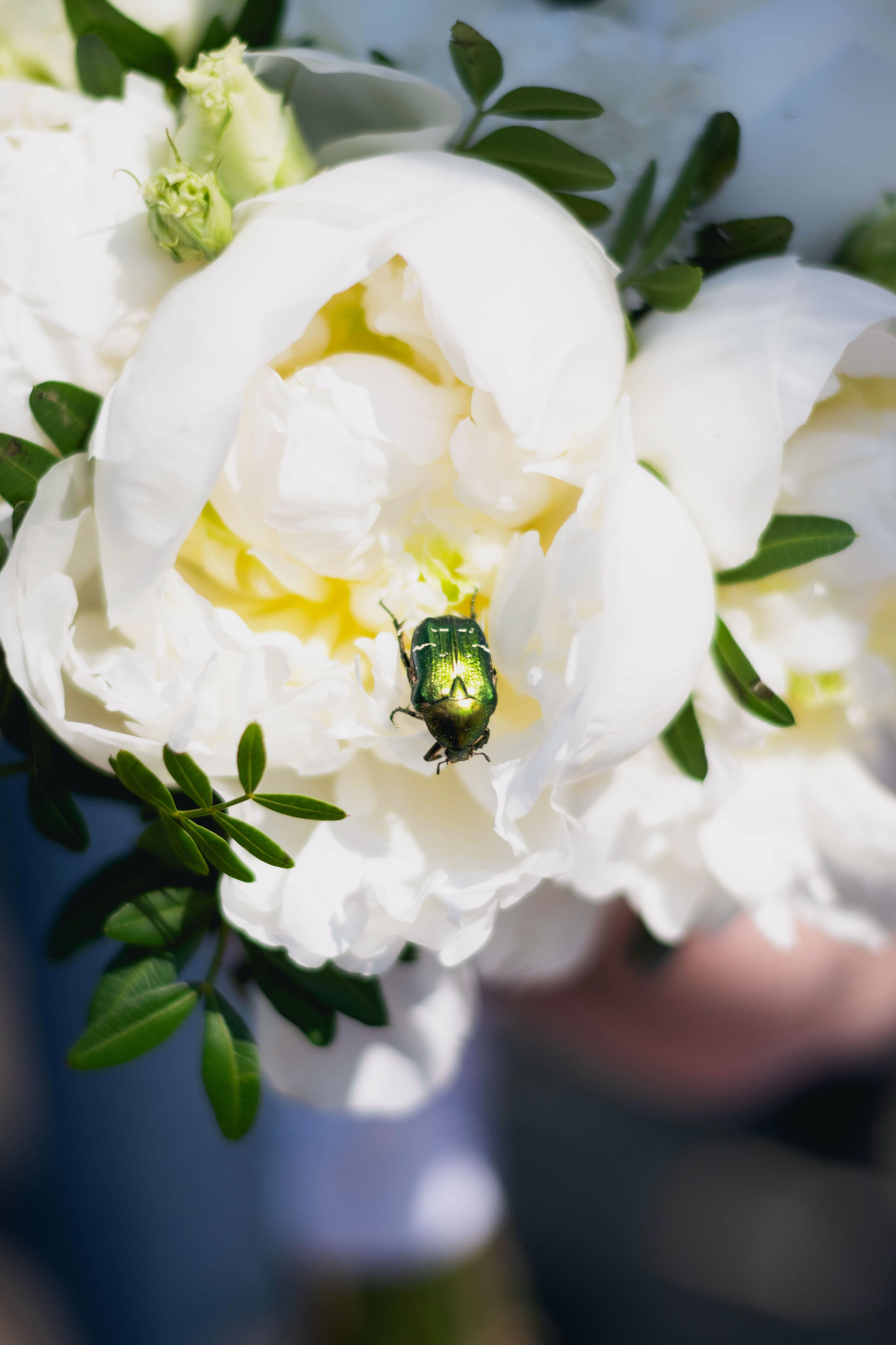 Аня и Вова. Фотограф Барнаул — NAVI / НАВИ