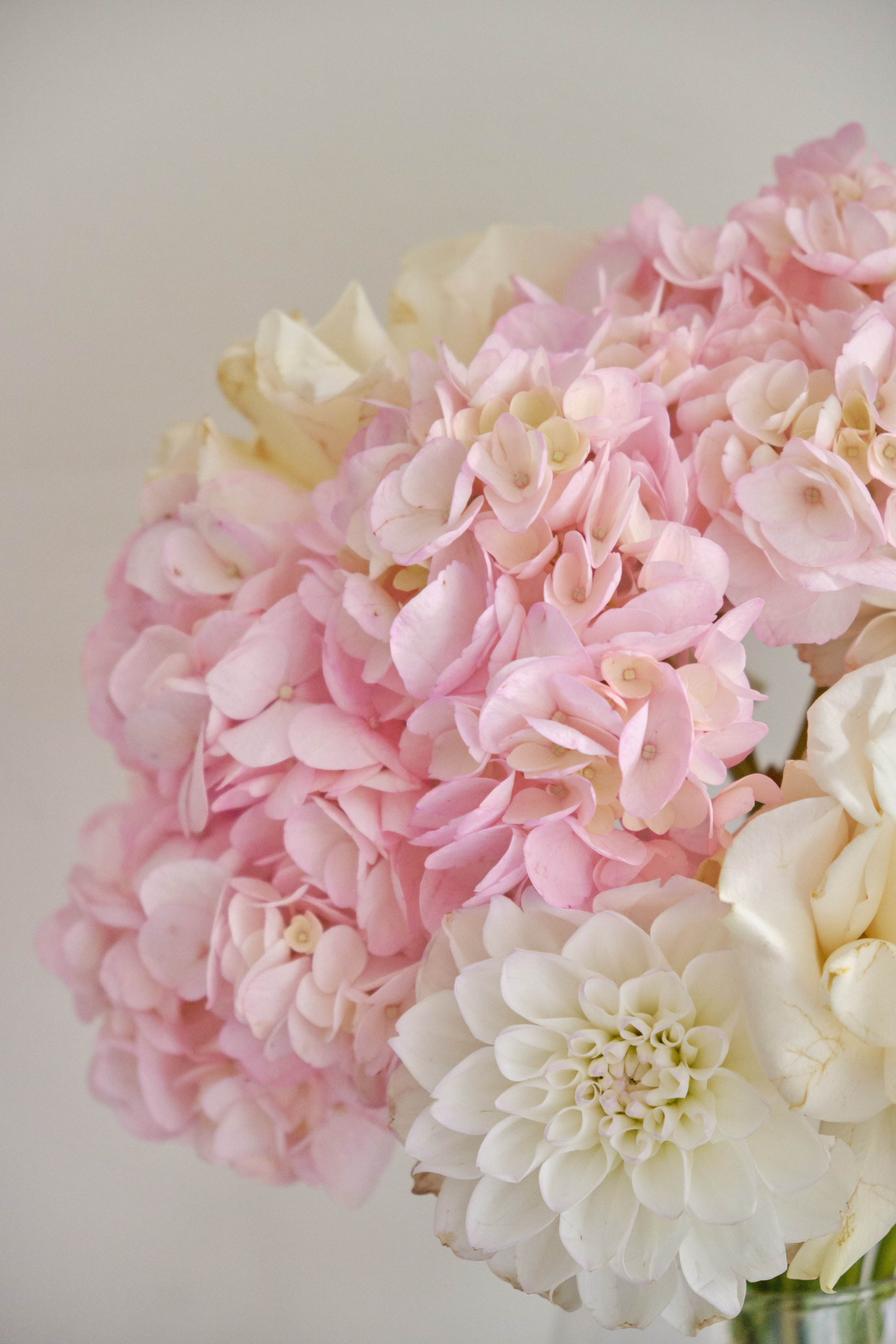 Замечательная повседневность. Контент-фотограф и видеограф в Перми