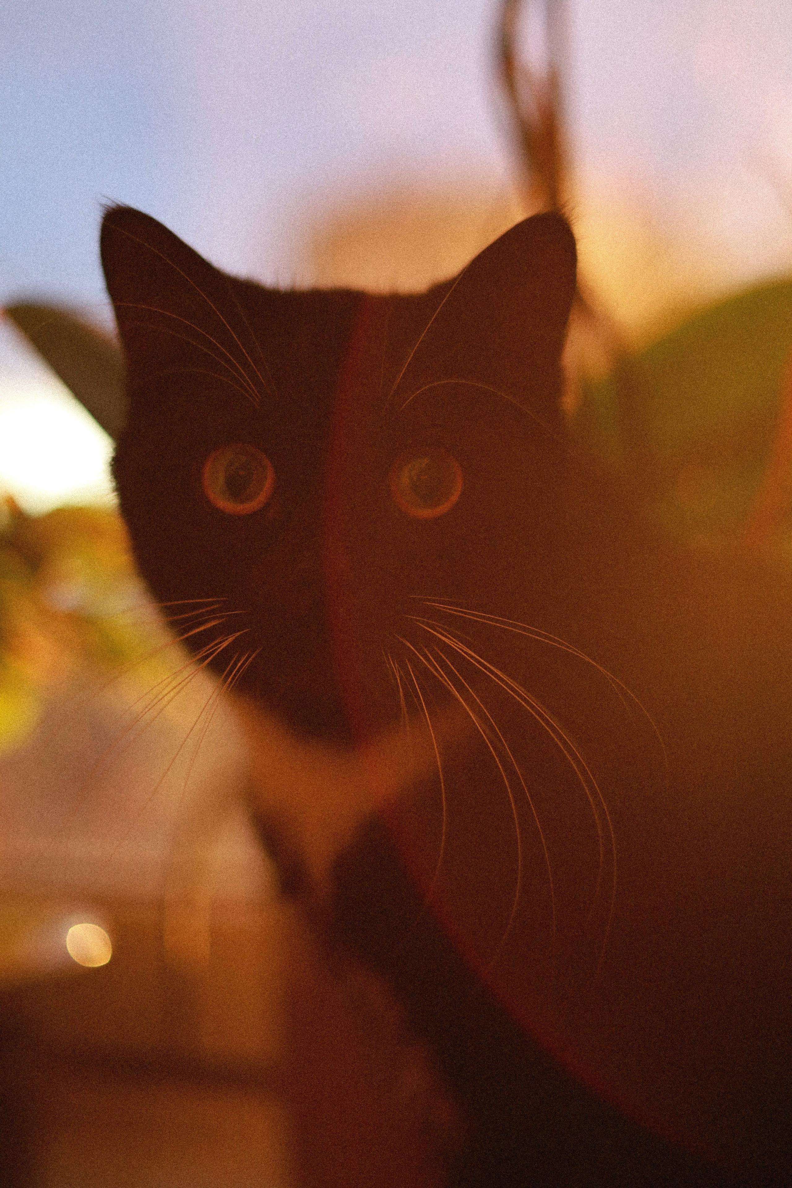 Все, что вокруг меня. Фотограф Евгения Ошкина, Саранск