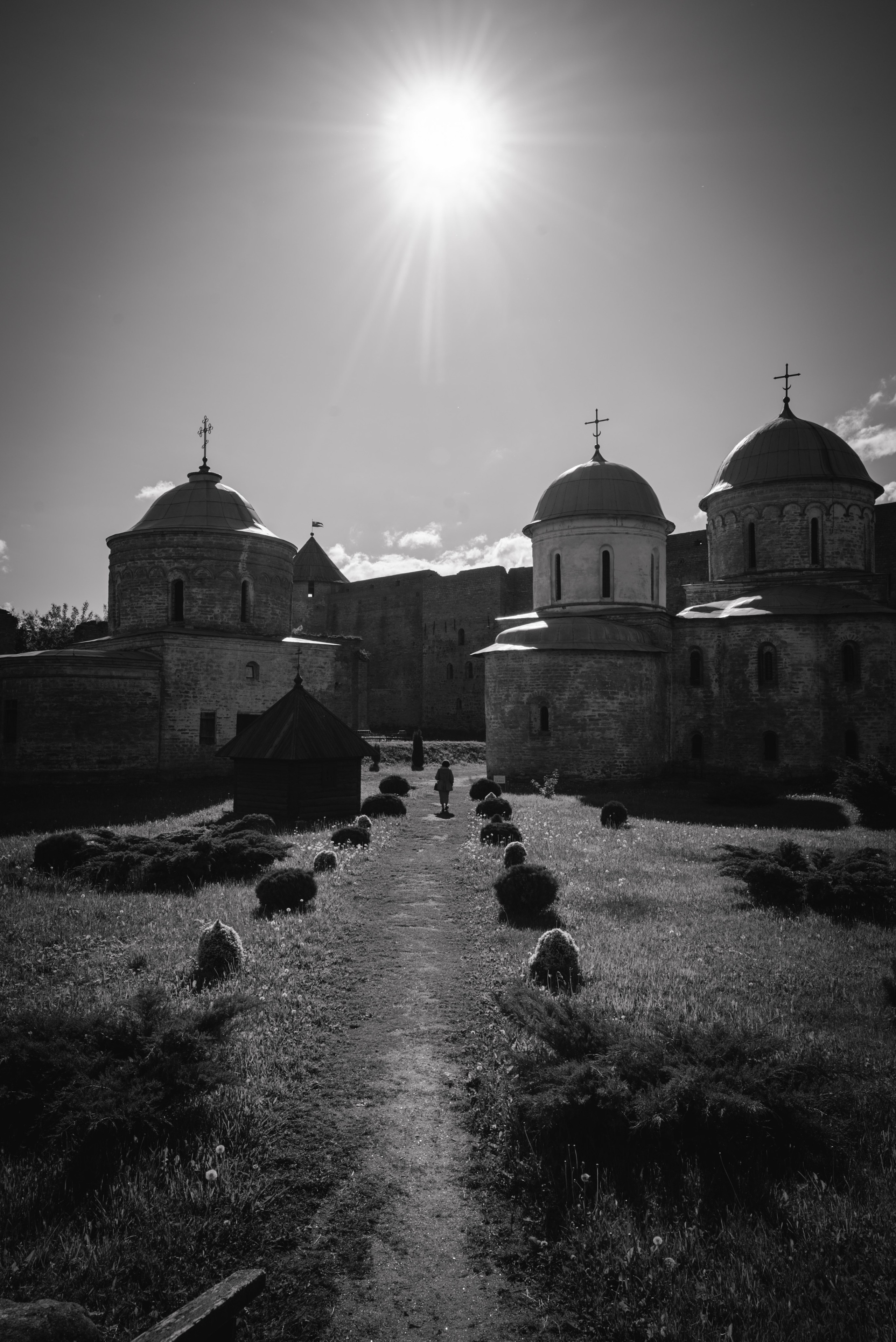 2026. Стрит-фотография, полная абсурда, идиотизма и красоты