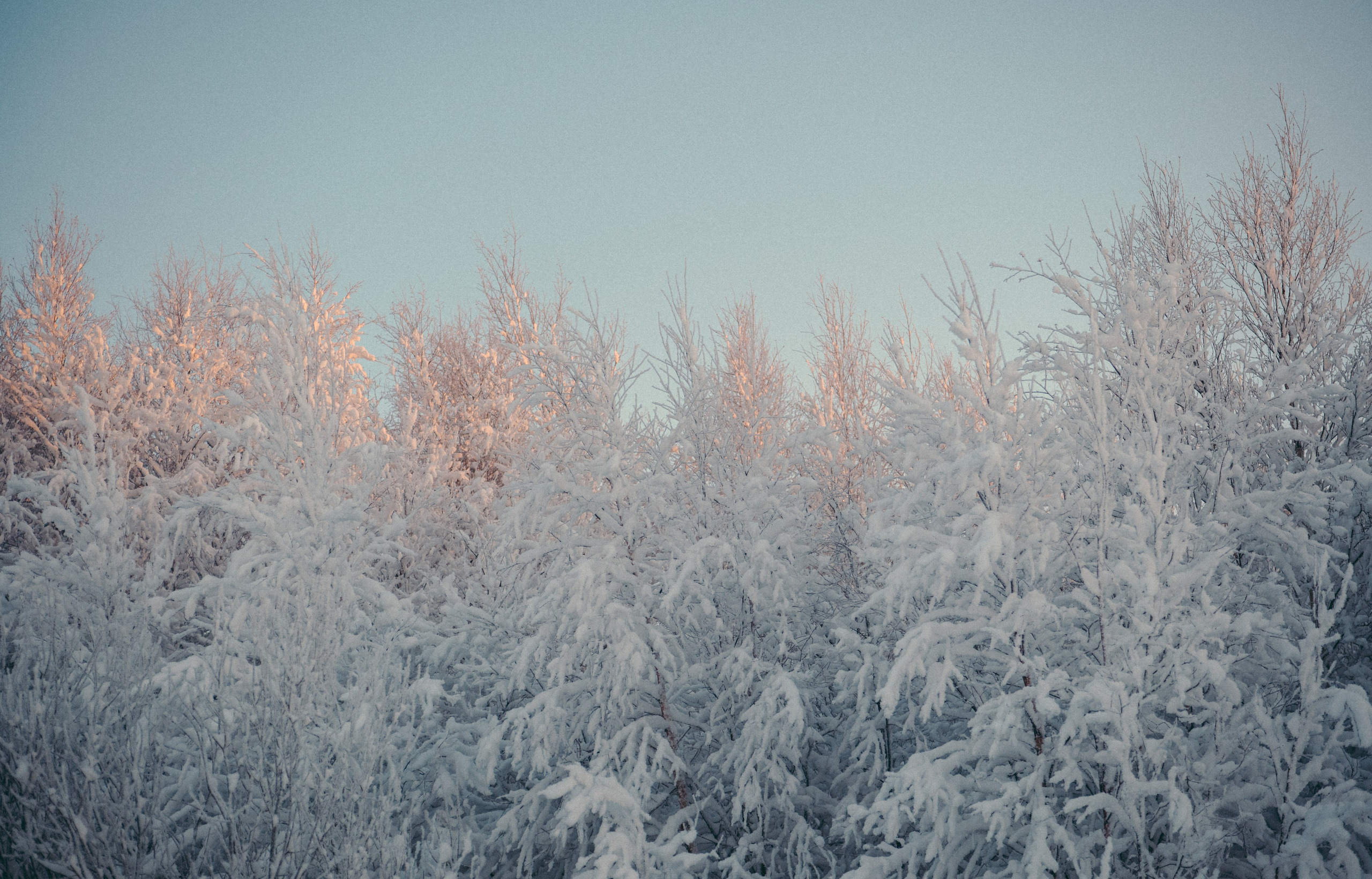 КАРЕЛИЯ / ЗИМА. Создание контента | Фото | Видеосъемка | Александр Ярков