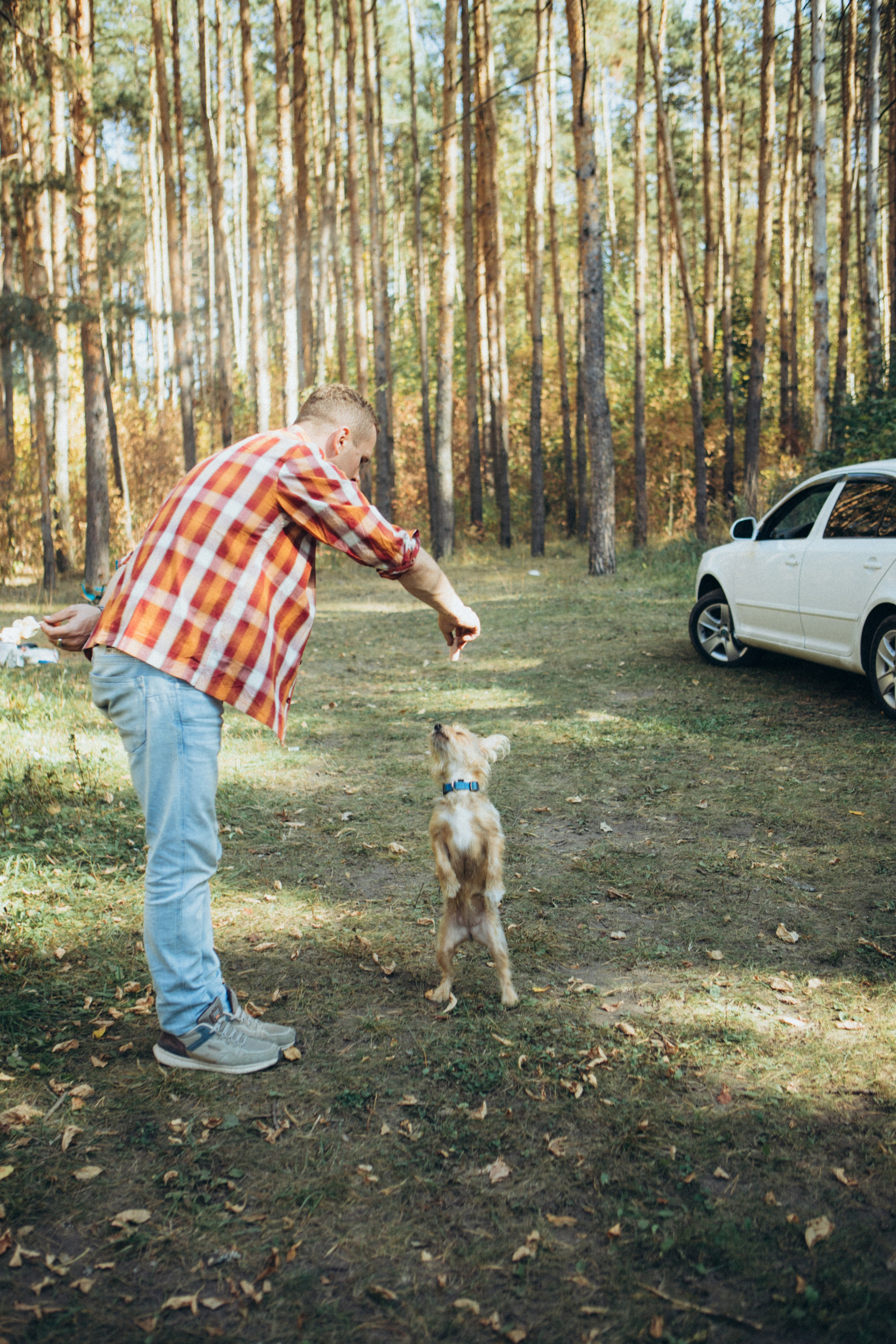 Лес. Семейный и репортажный фотограф в Орле