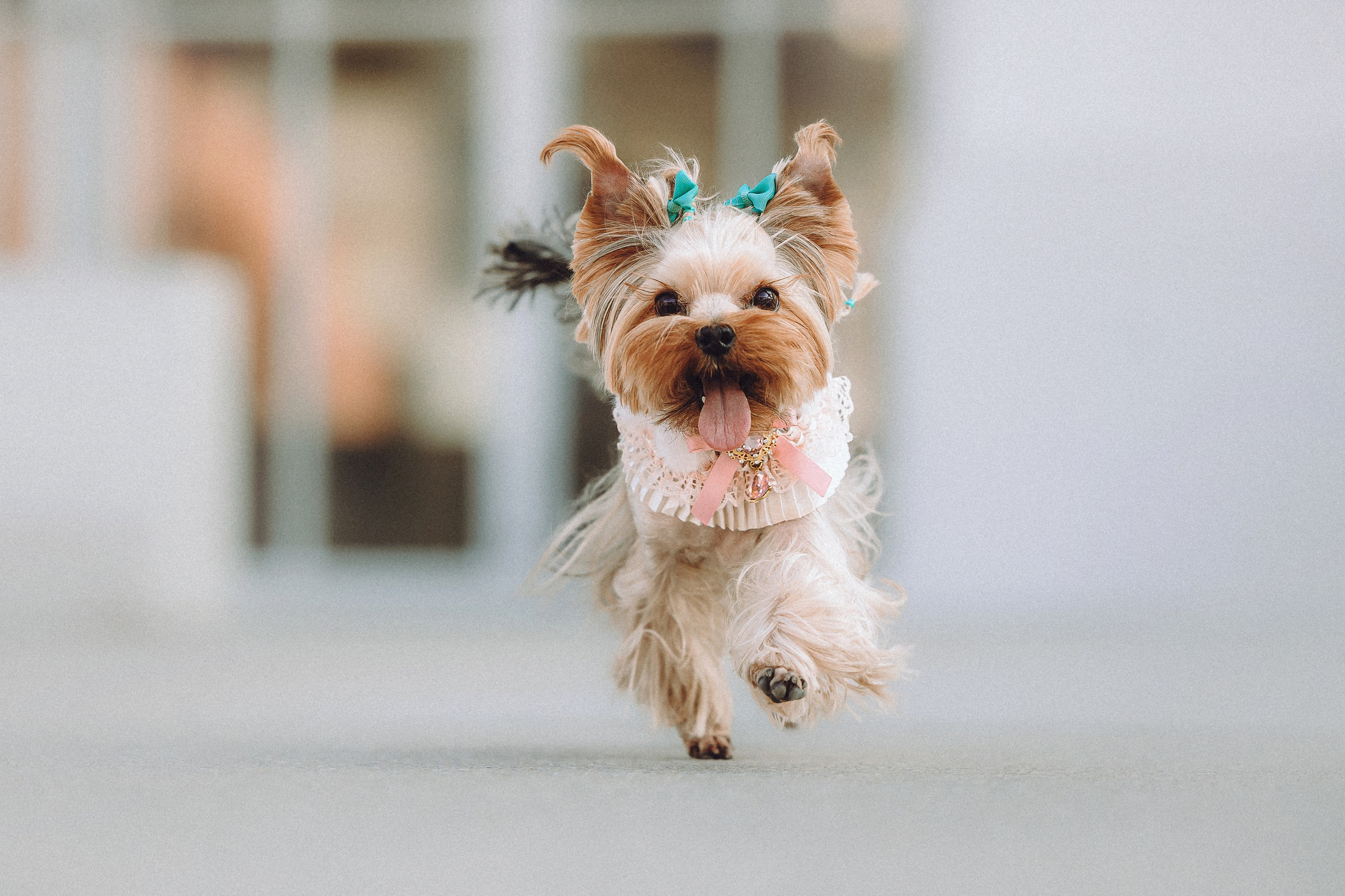 Дженни, Оливия и их семья