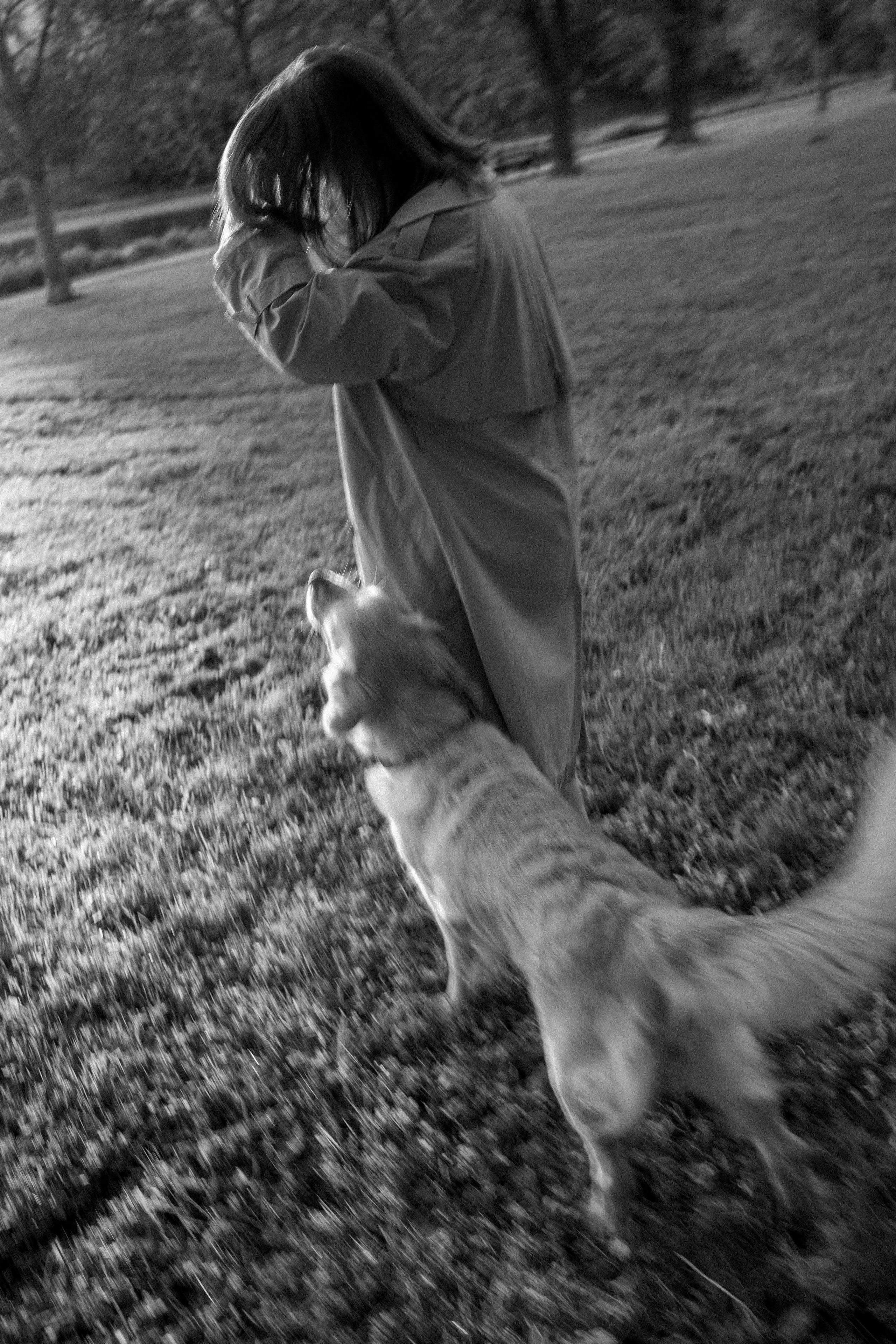 Пенни и ребята. Фотограф — Анималист | Санкт-Петербург