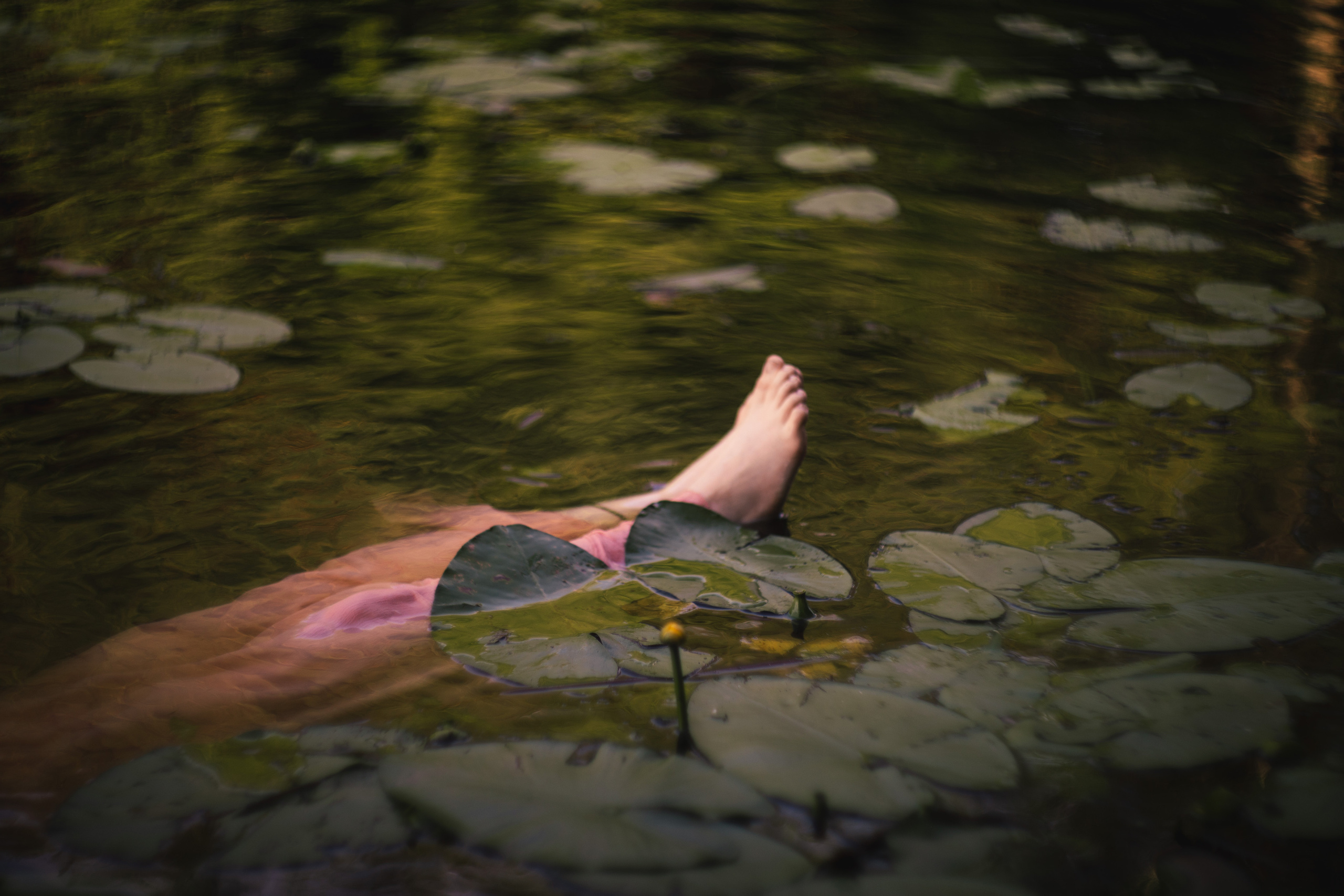 Последний день Офелии. Юлия Башкатова, сказочный фотограф, Москва