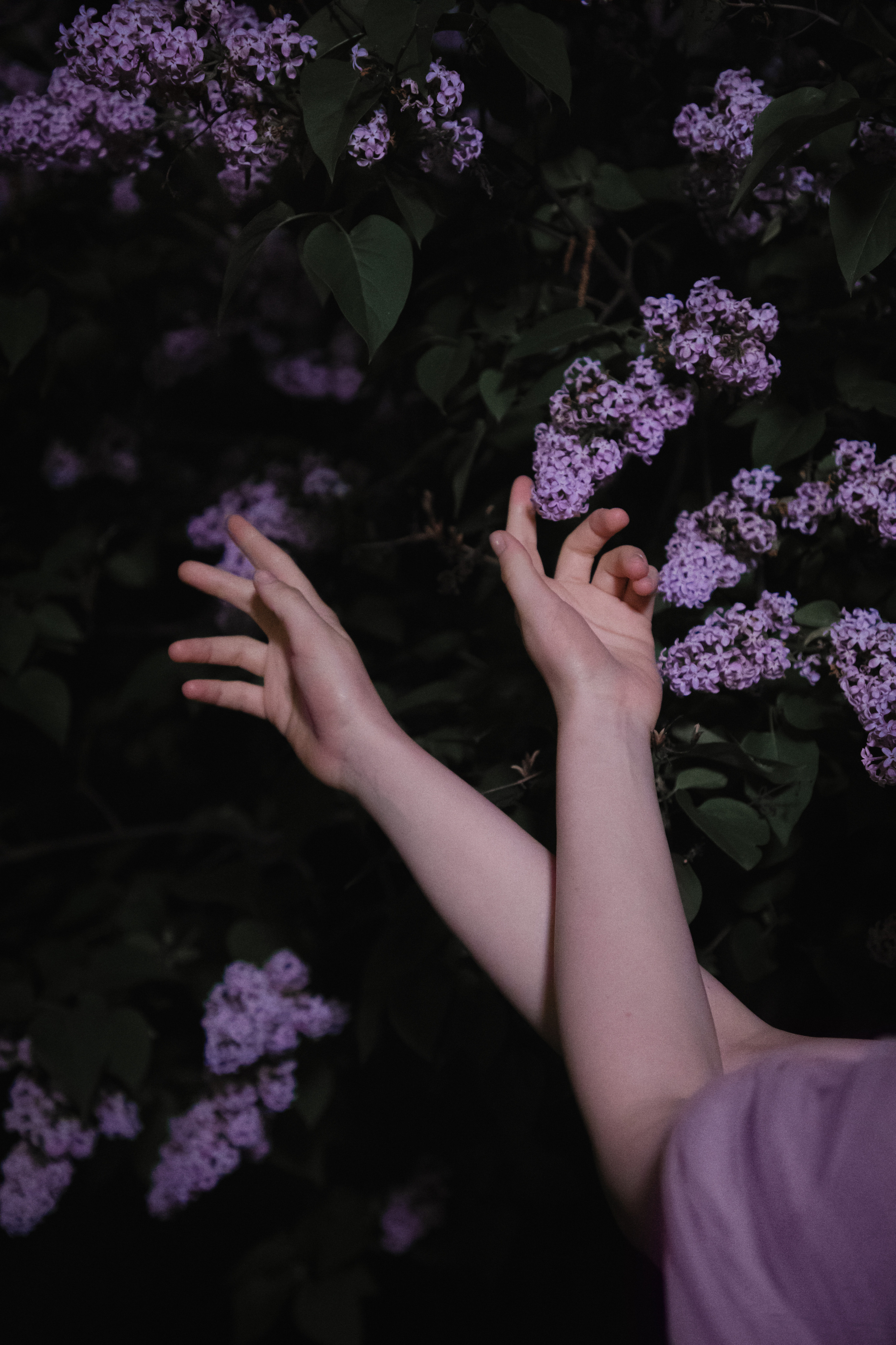 Ночная в сирени. Юлия Башкатова, сказочный фотограф, Москва