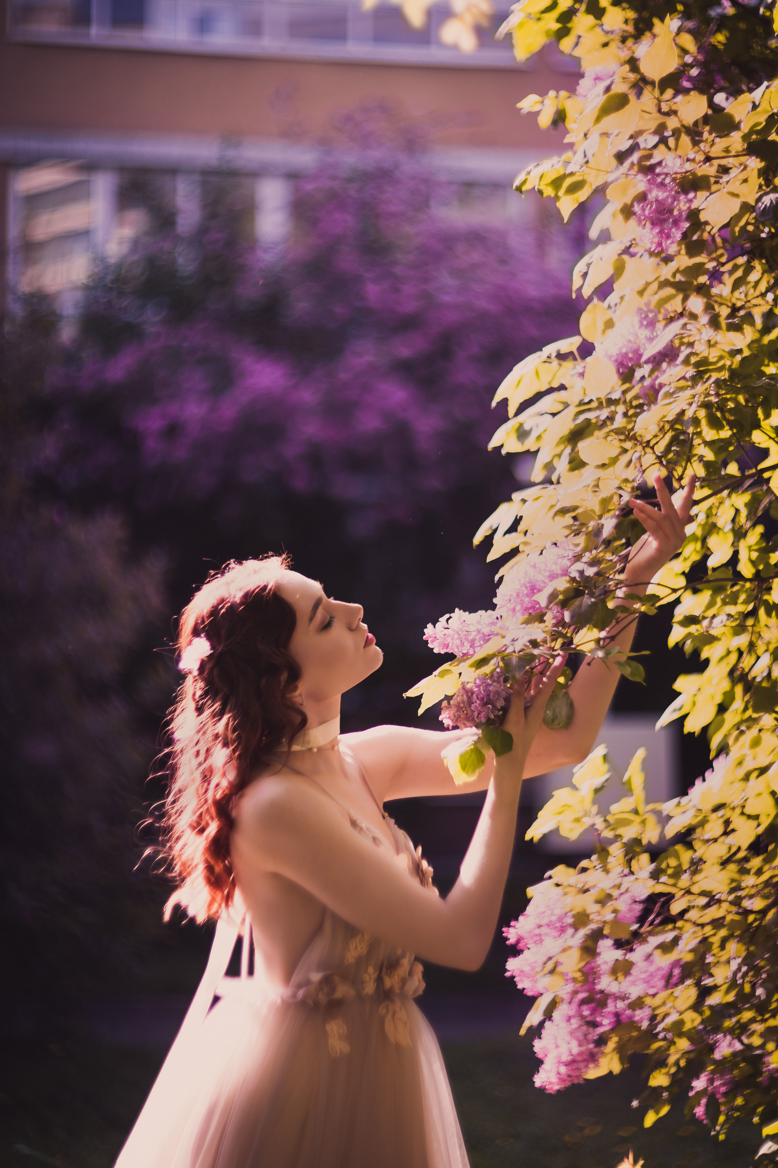 Розовое цветение. Юлия Башкатова, сказочный фотограф, Москва