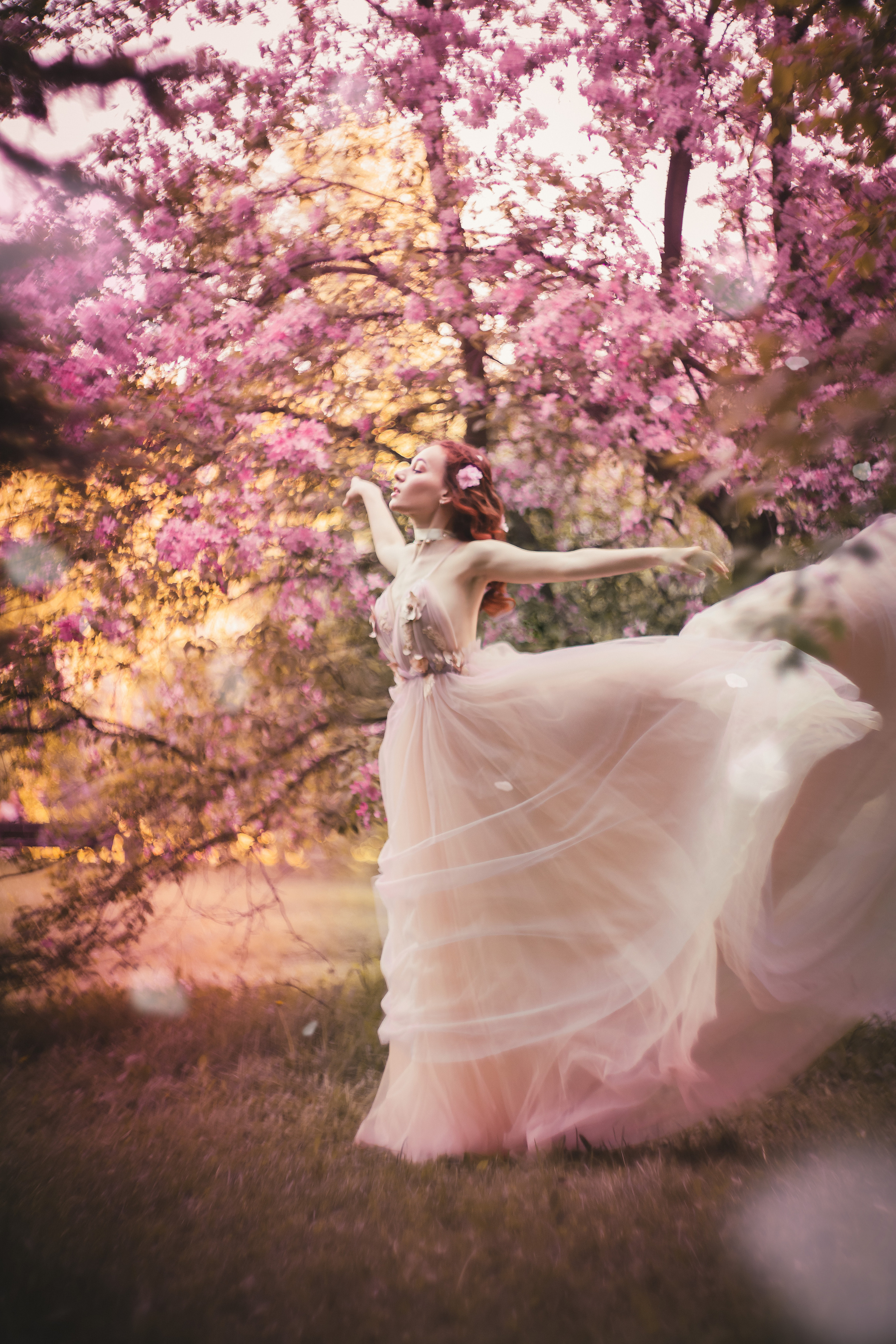 Розовое цветение. Юлия Башкатова, сказочный фотограф, Москва