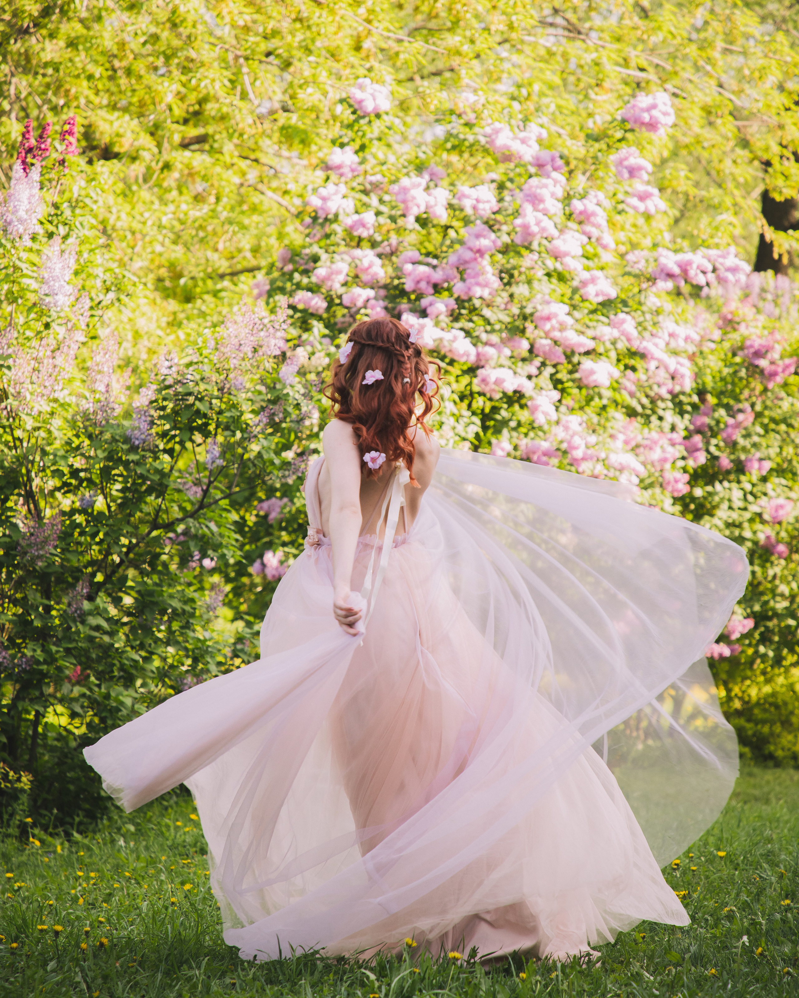 Розовое цветение. Юлия Башкатова, сказочный фотограф, Москва