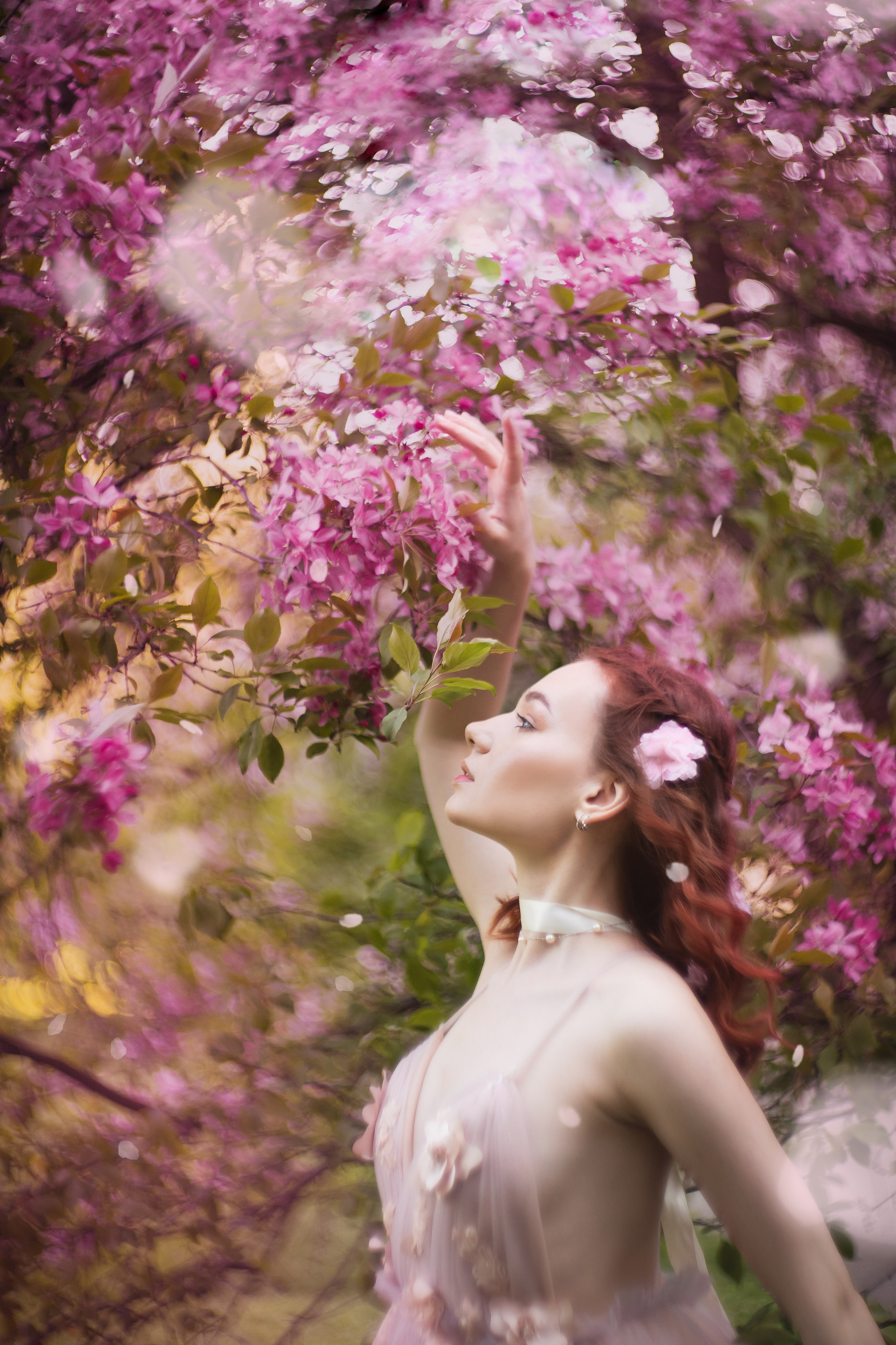 Розовое цветение. Юлия Башкатова, сказочный фотограф, Москва