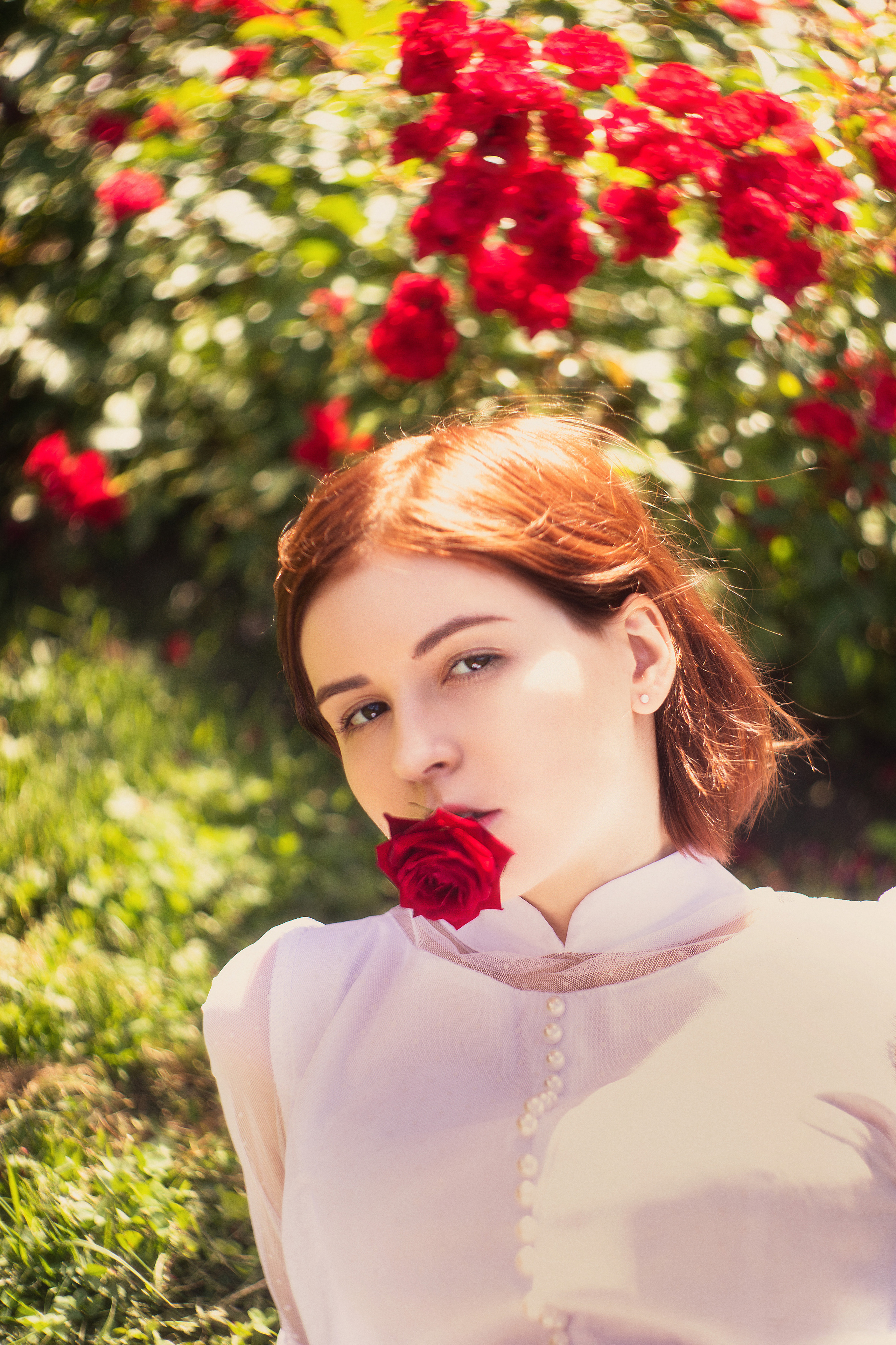 Летом в розарии. Юлия Башкатова, сказочный фотограф, Москва