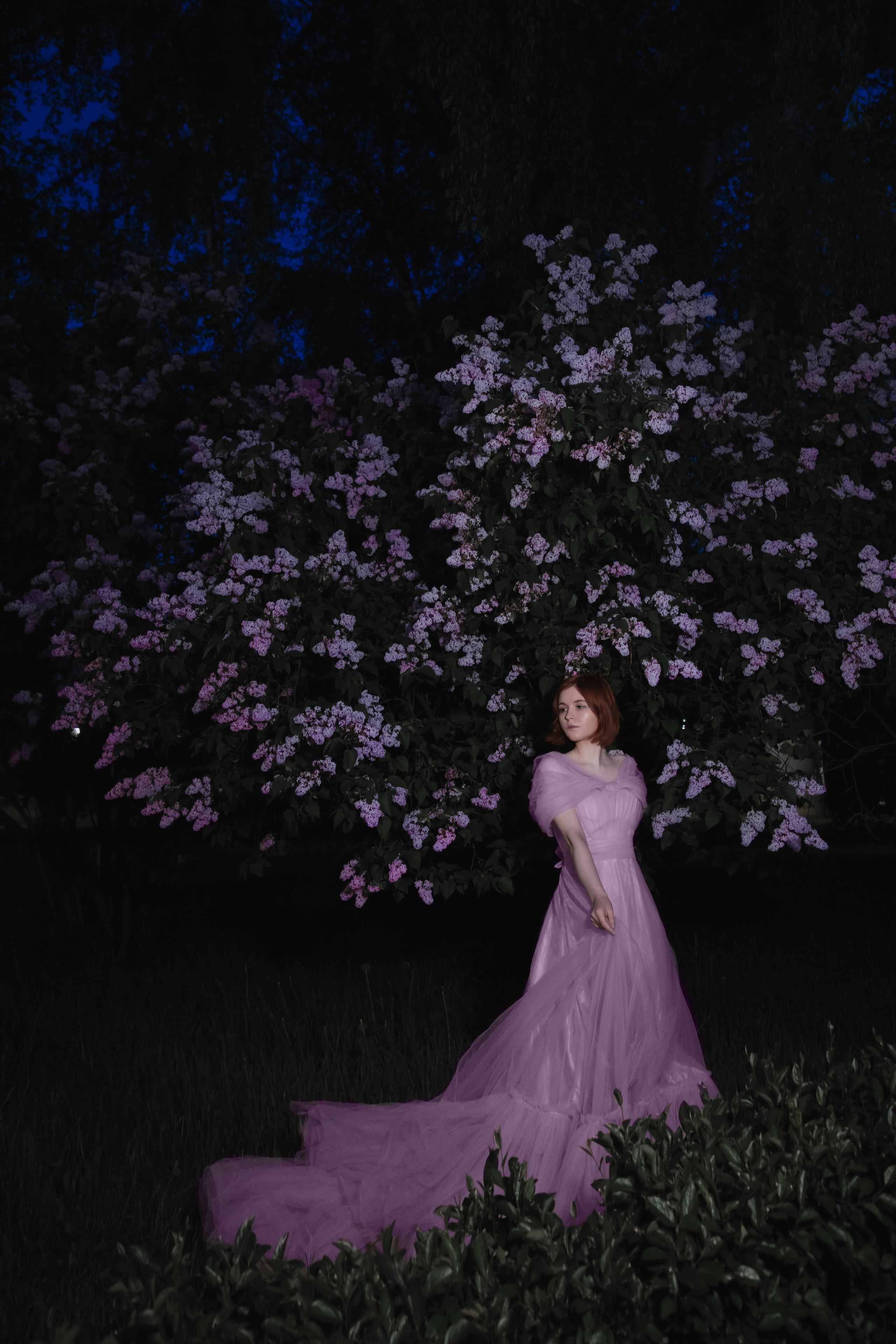 Ночная в сирени. Юлия Башкатова, сказочный фотограф, Москва