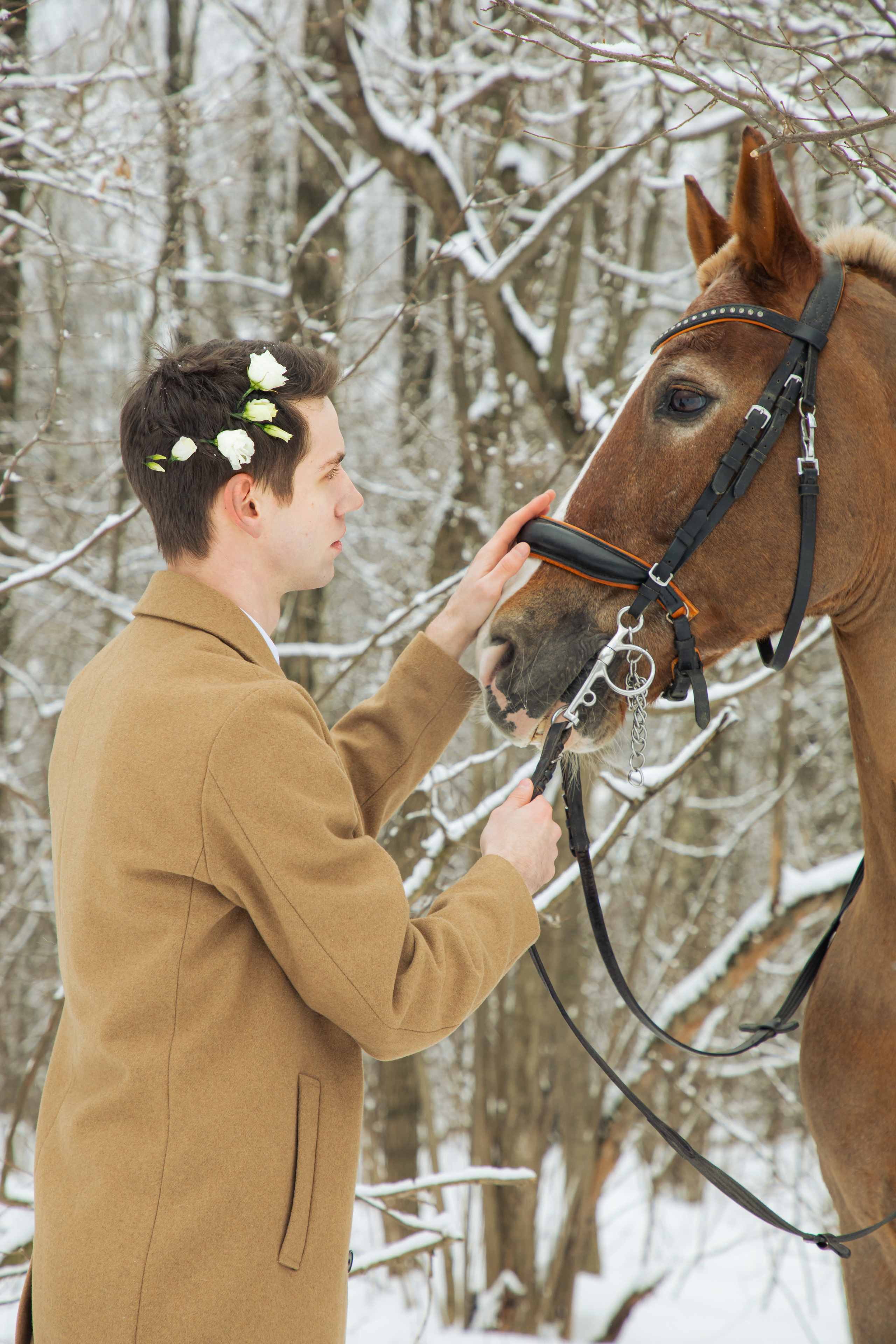 Иван, фотопроект с лошадьми. Юлия Башкатова, сказочный фотограф, Москва