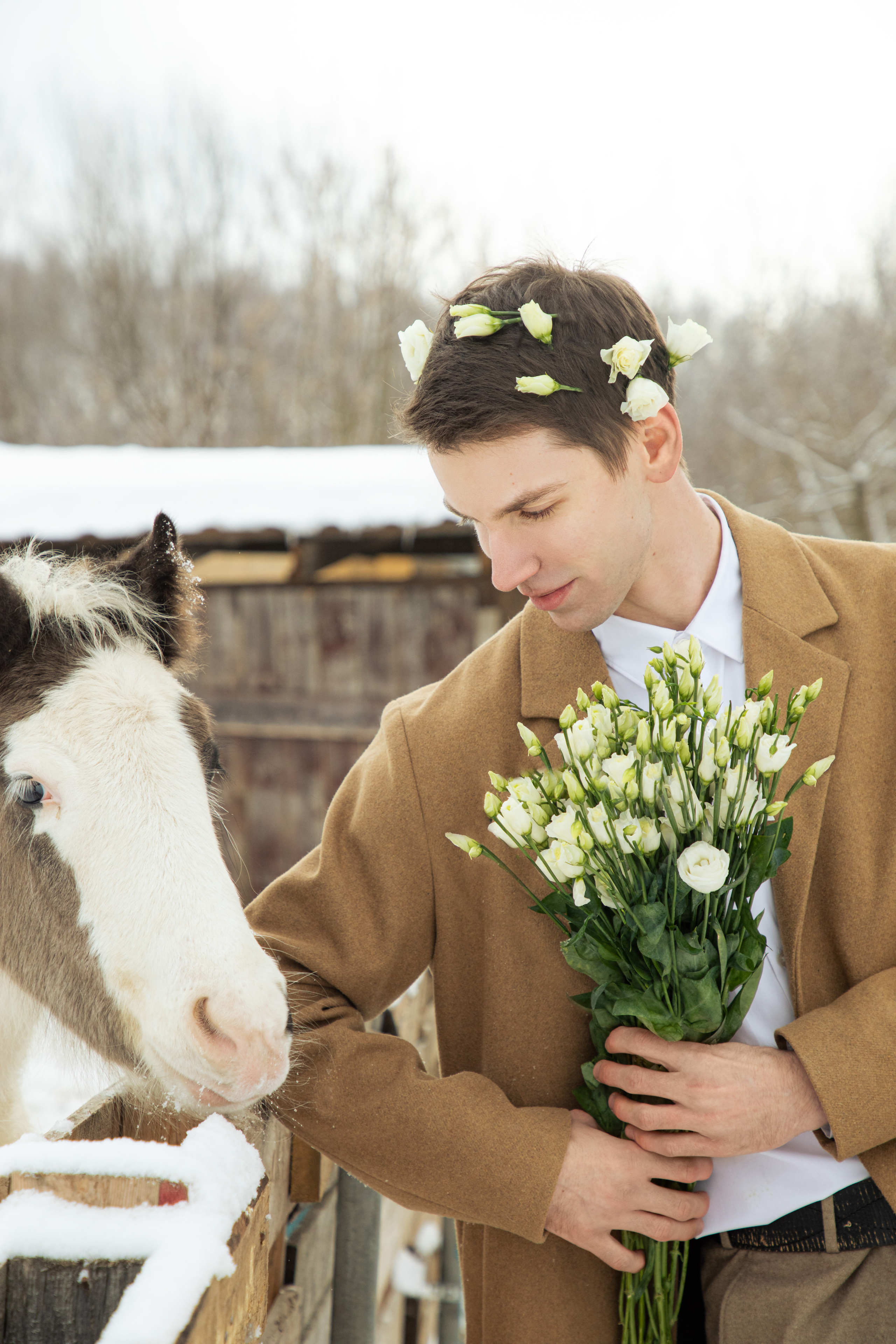 Иван, фотопроект с лошадьми. Юлия Башкатова, сказочный фотограф, Москва