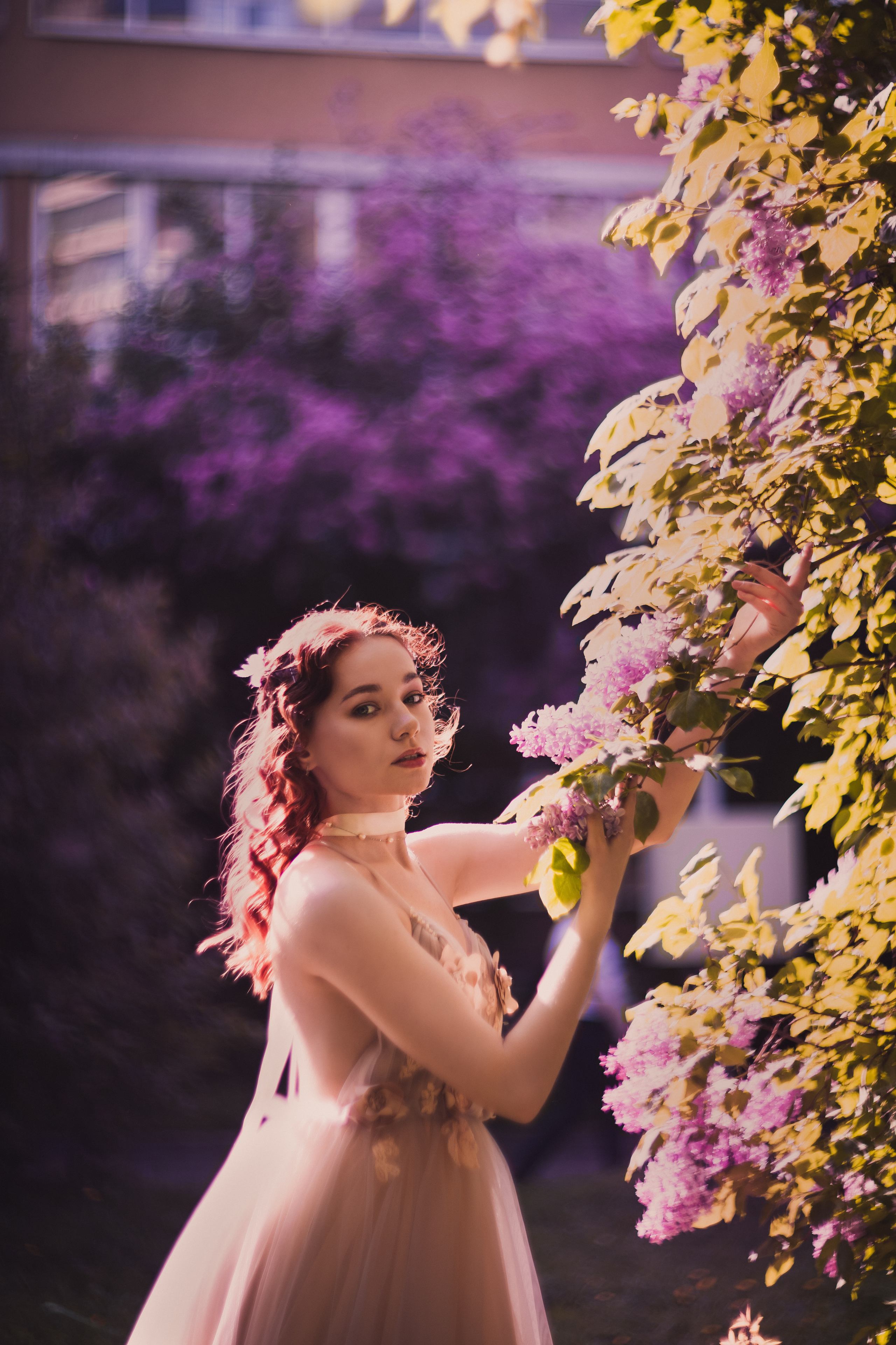 Розовое цветение. Юлия Башкатова, сказочный фотограф, Москва