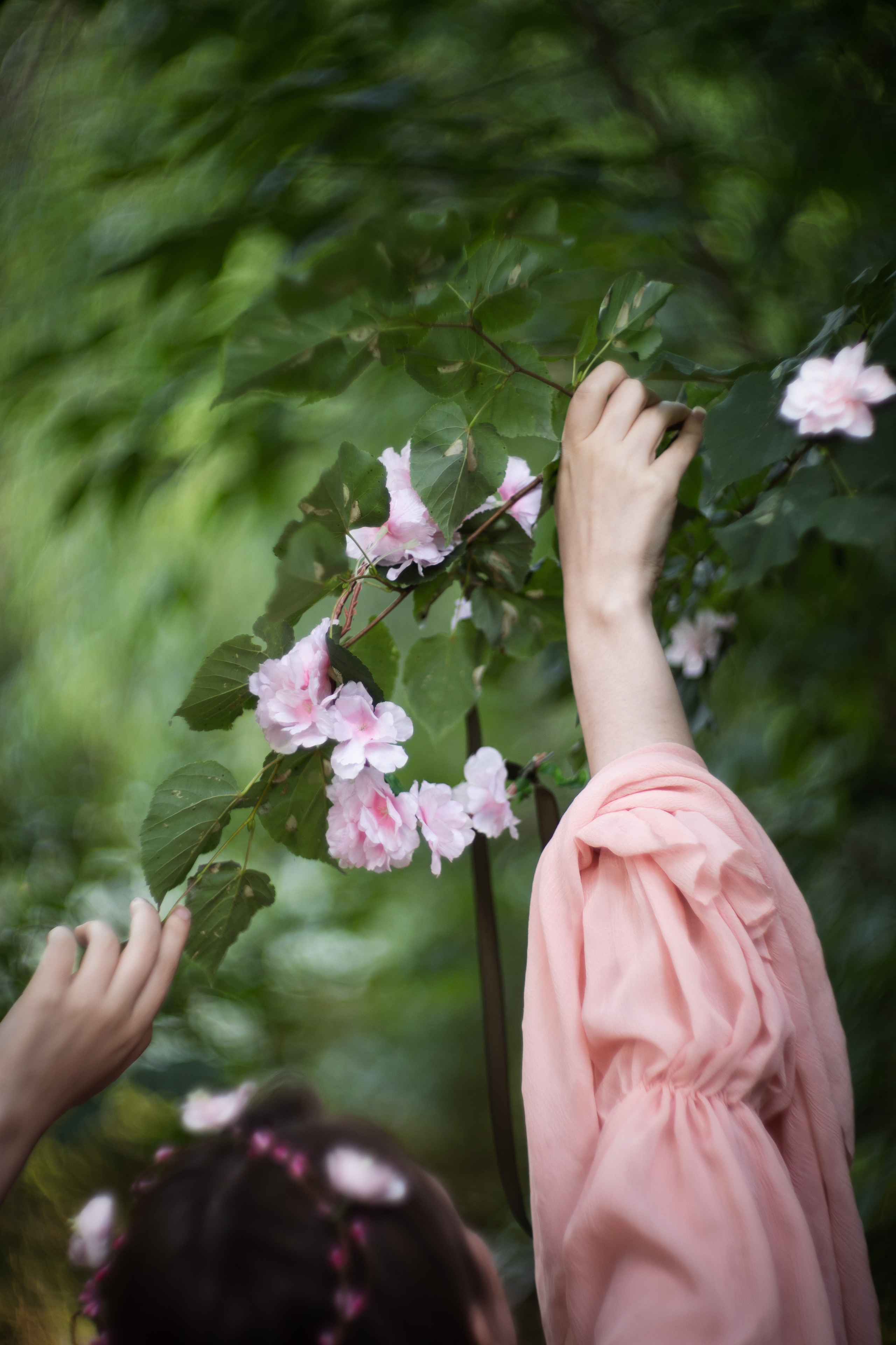 Последний день Офелии. Юлия Башкатова, сказочный фотограф, Москва
