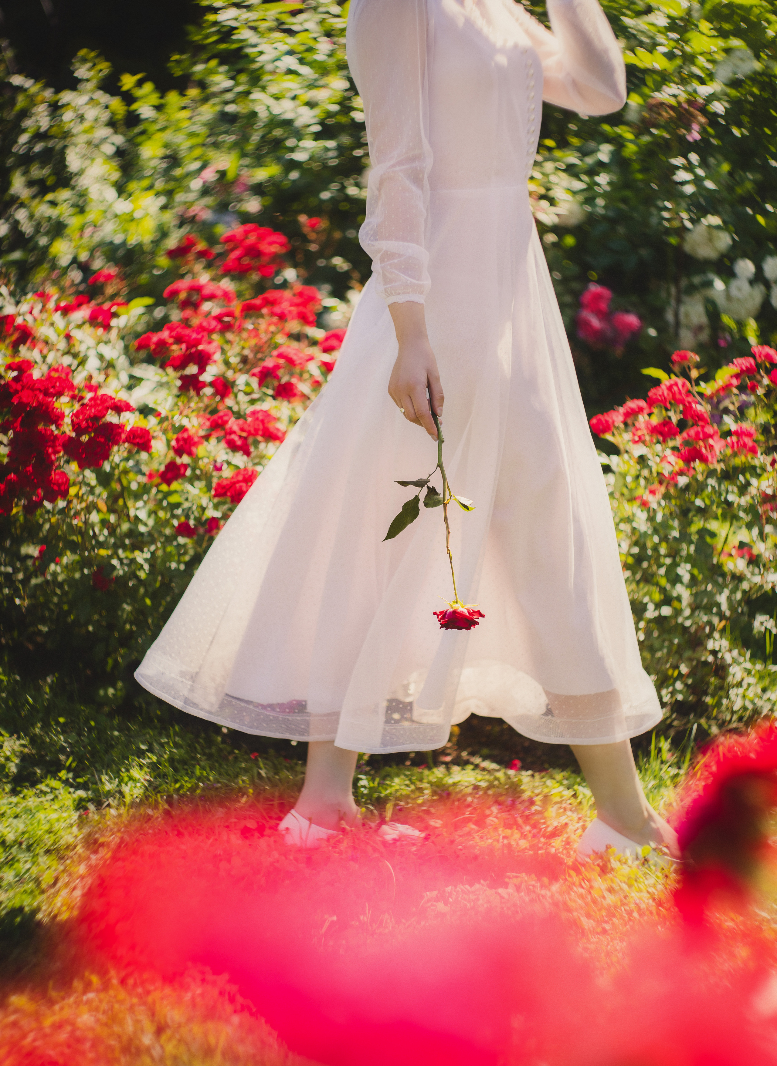 Летом в розарии. Юлия Башкатова, сказочный фотограф, Москва