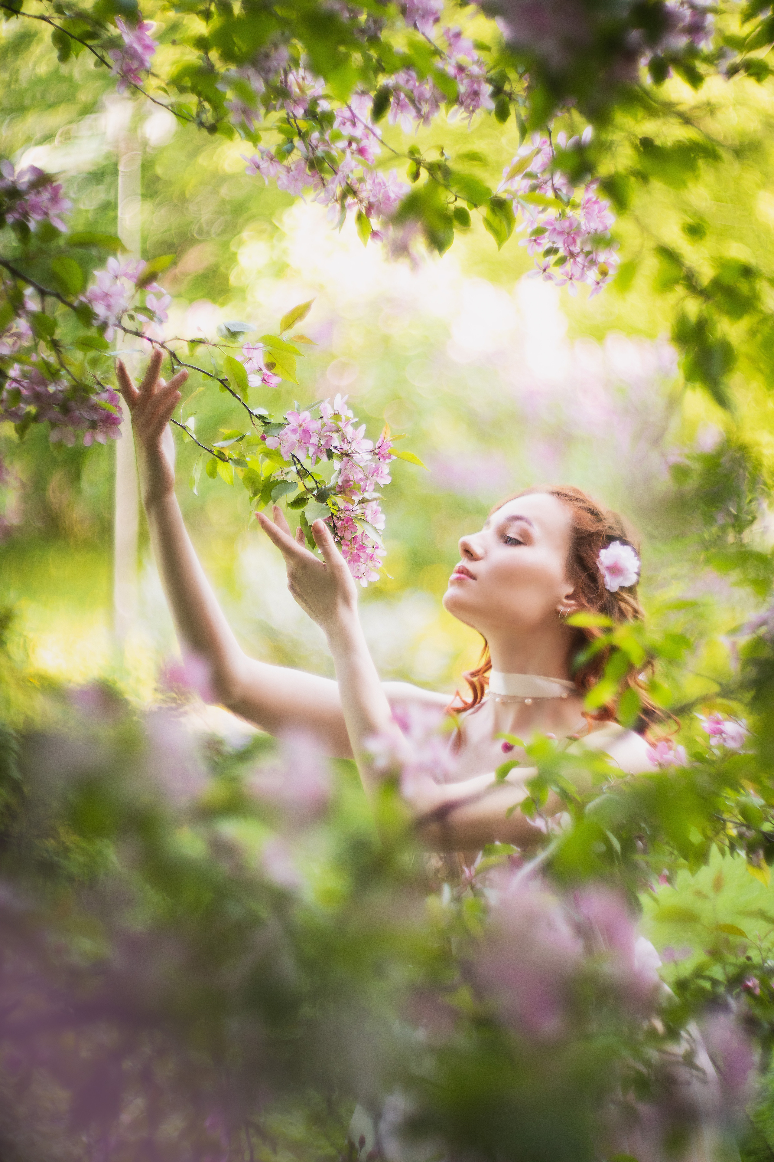 Розовое цветение. Юлия Башкатова, сказочный фотограф, Москва