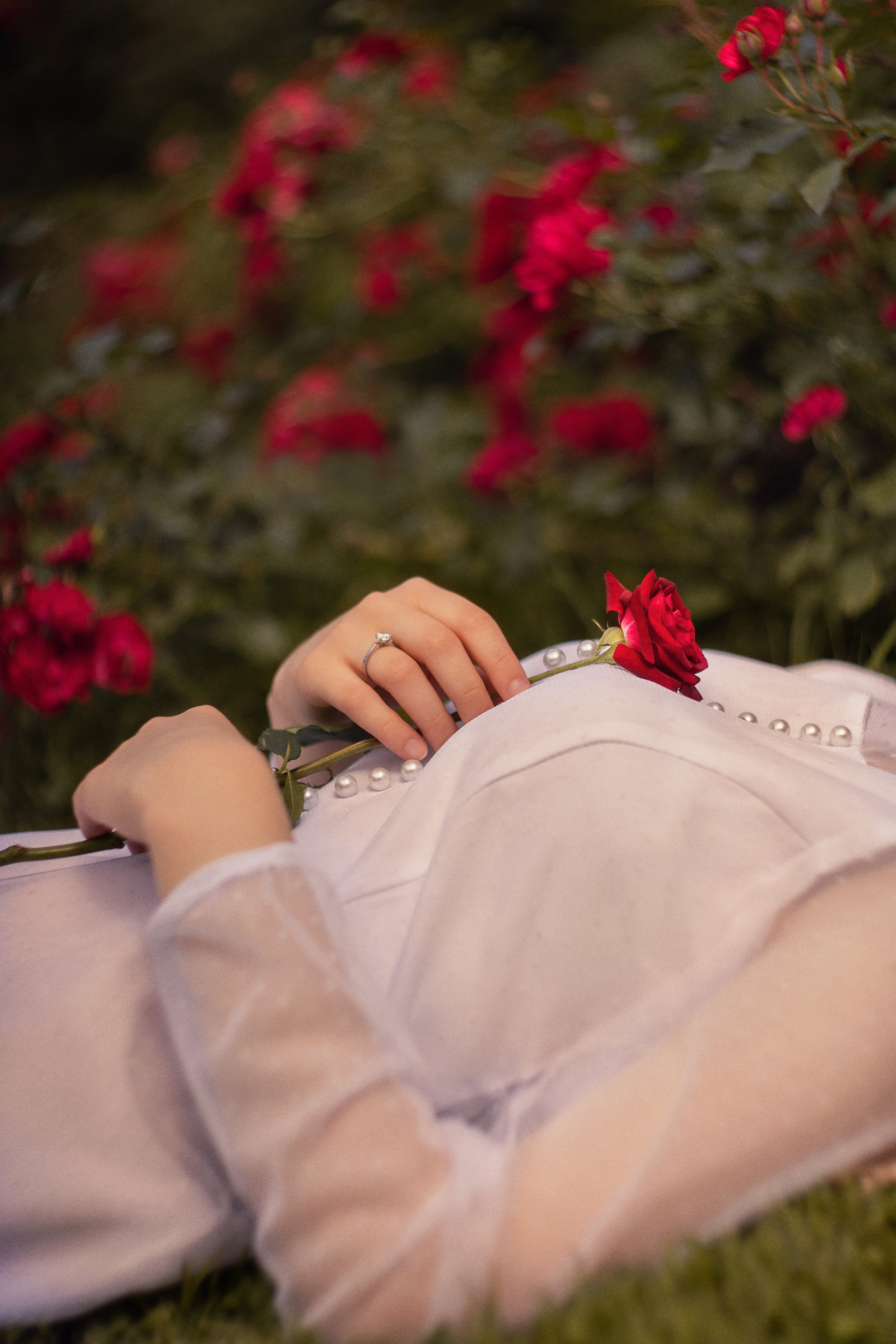 Летом в розарии. Юлия Башкатова, сказочный фотограф, Москва