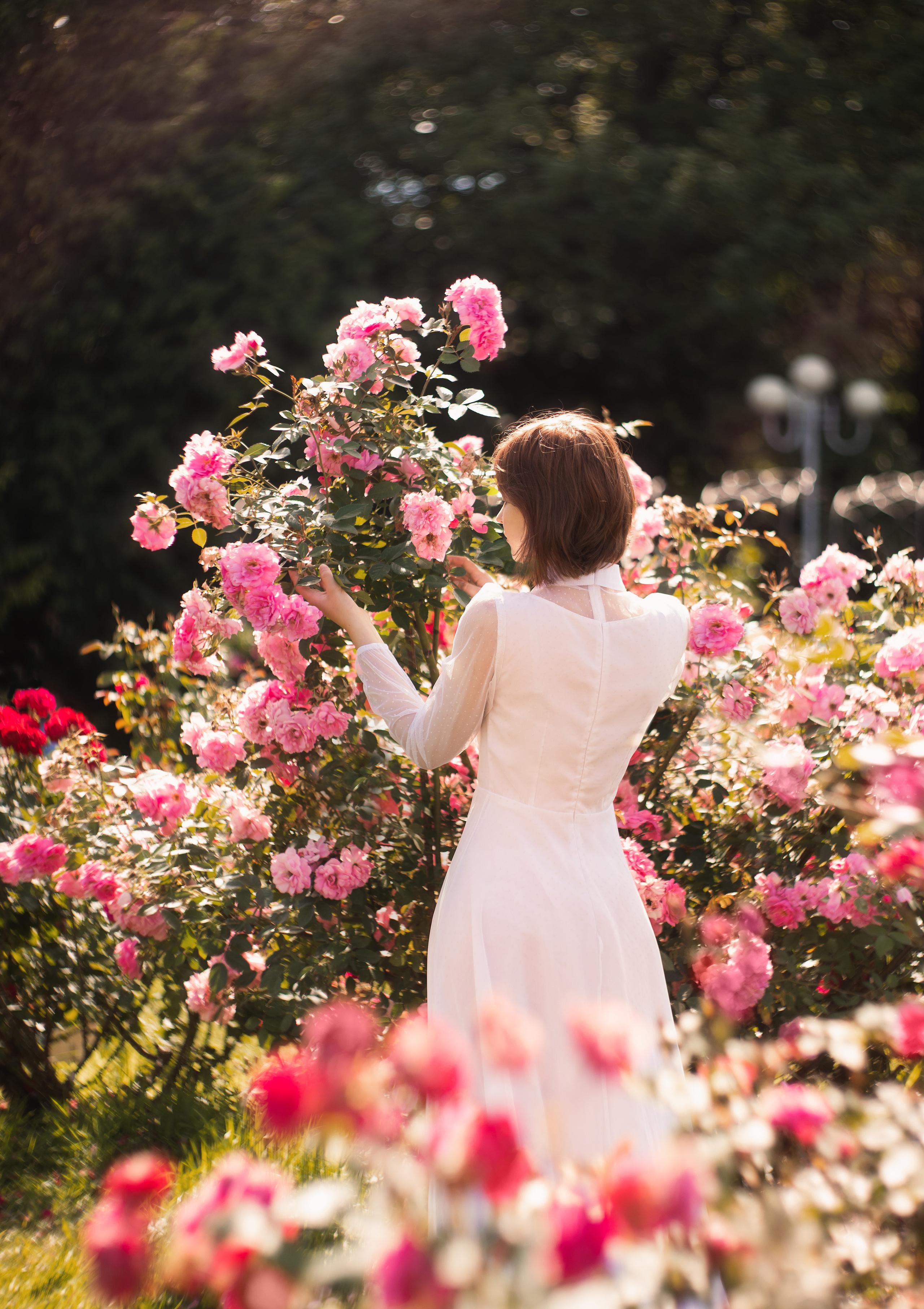 Летом в розарии. Юлия Башкатова, сказочный фотограф, Москва