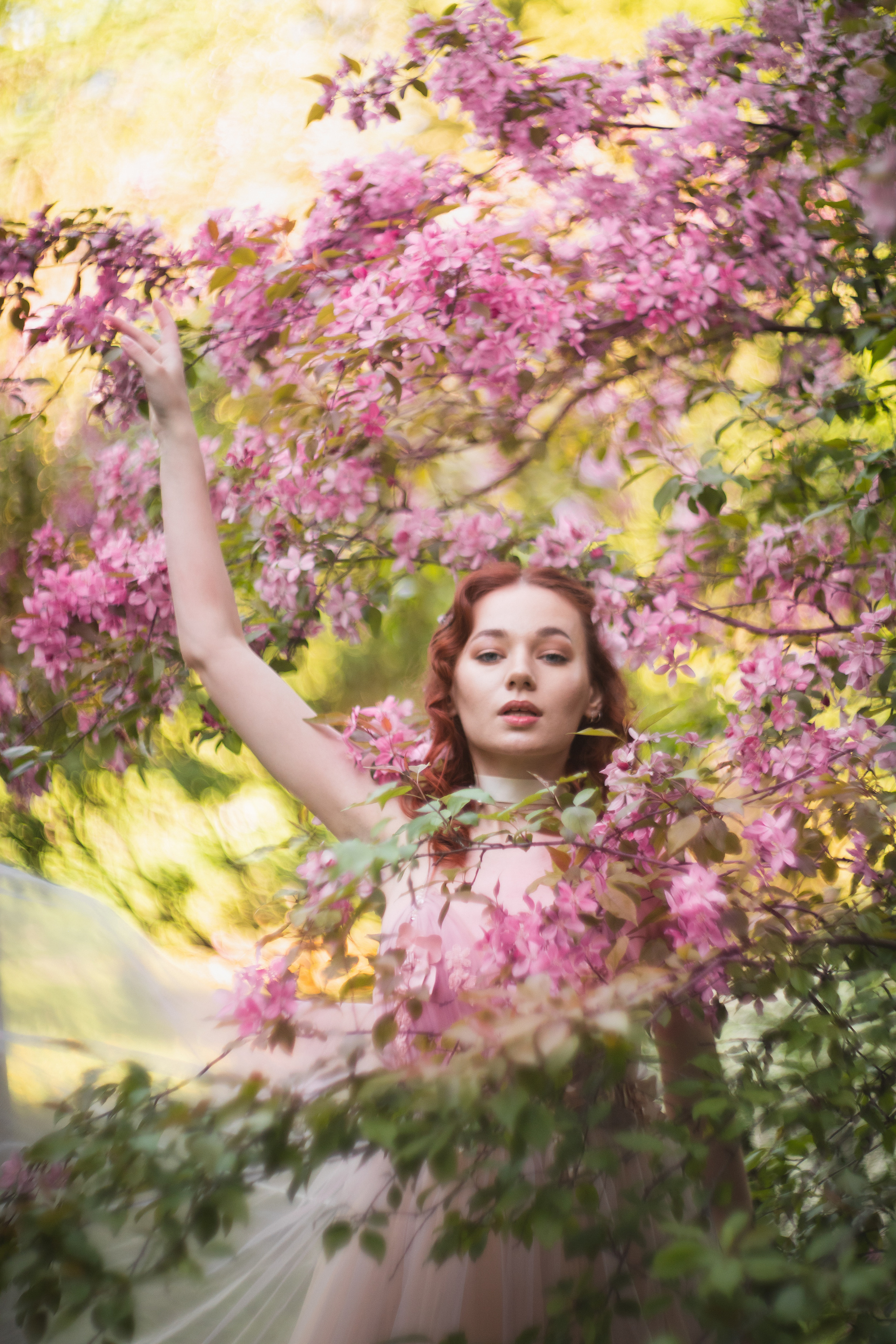 Розовое цветение. Юлия Башкатова, сказочный фотограф, Москва