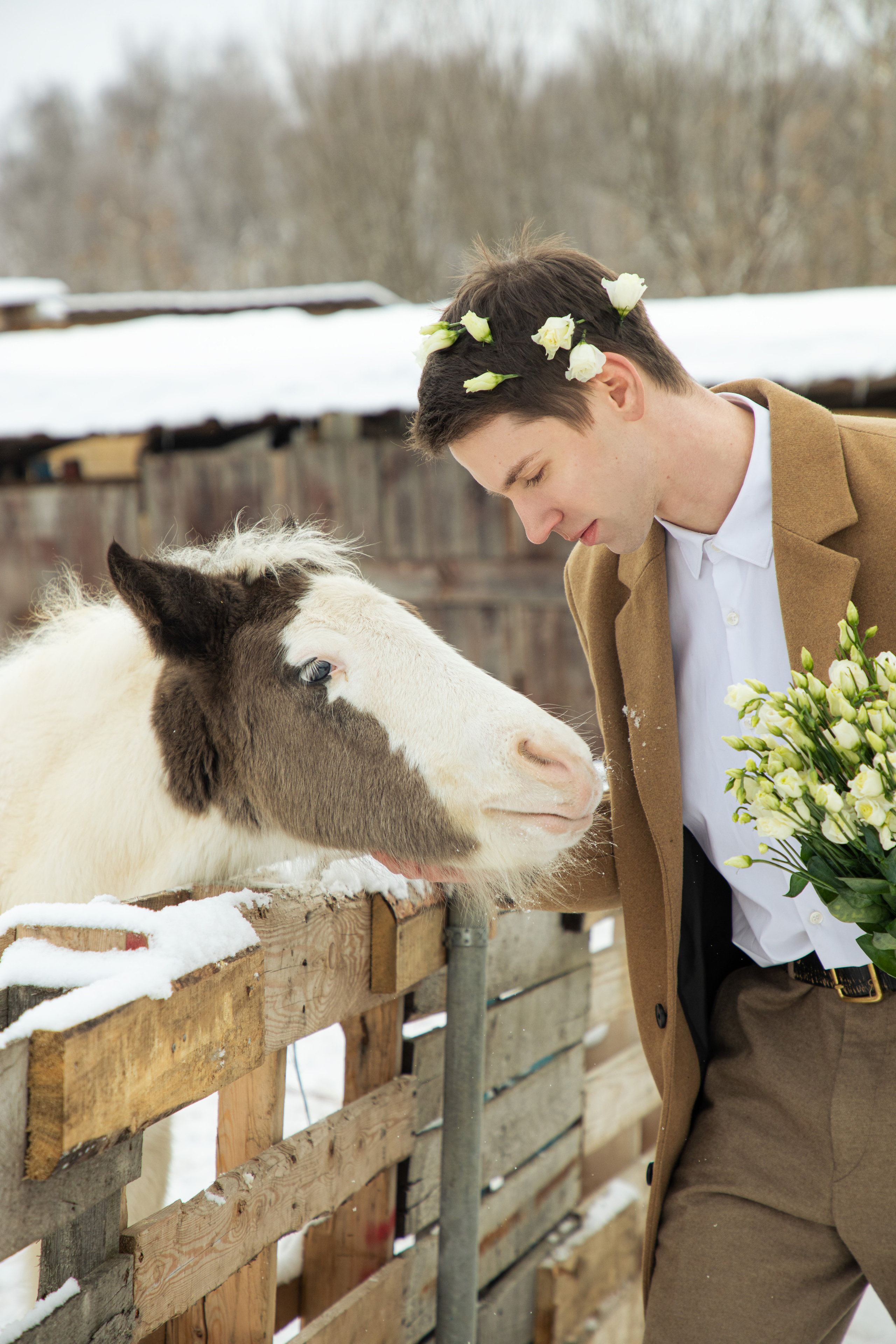 Иван, фотопроект с лошадьми. Юлия Башкатова, сказочный фотограф, Москва