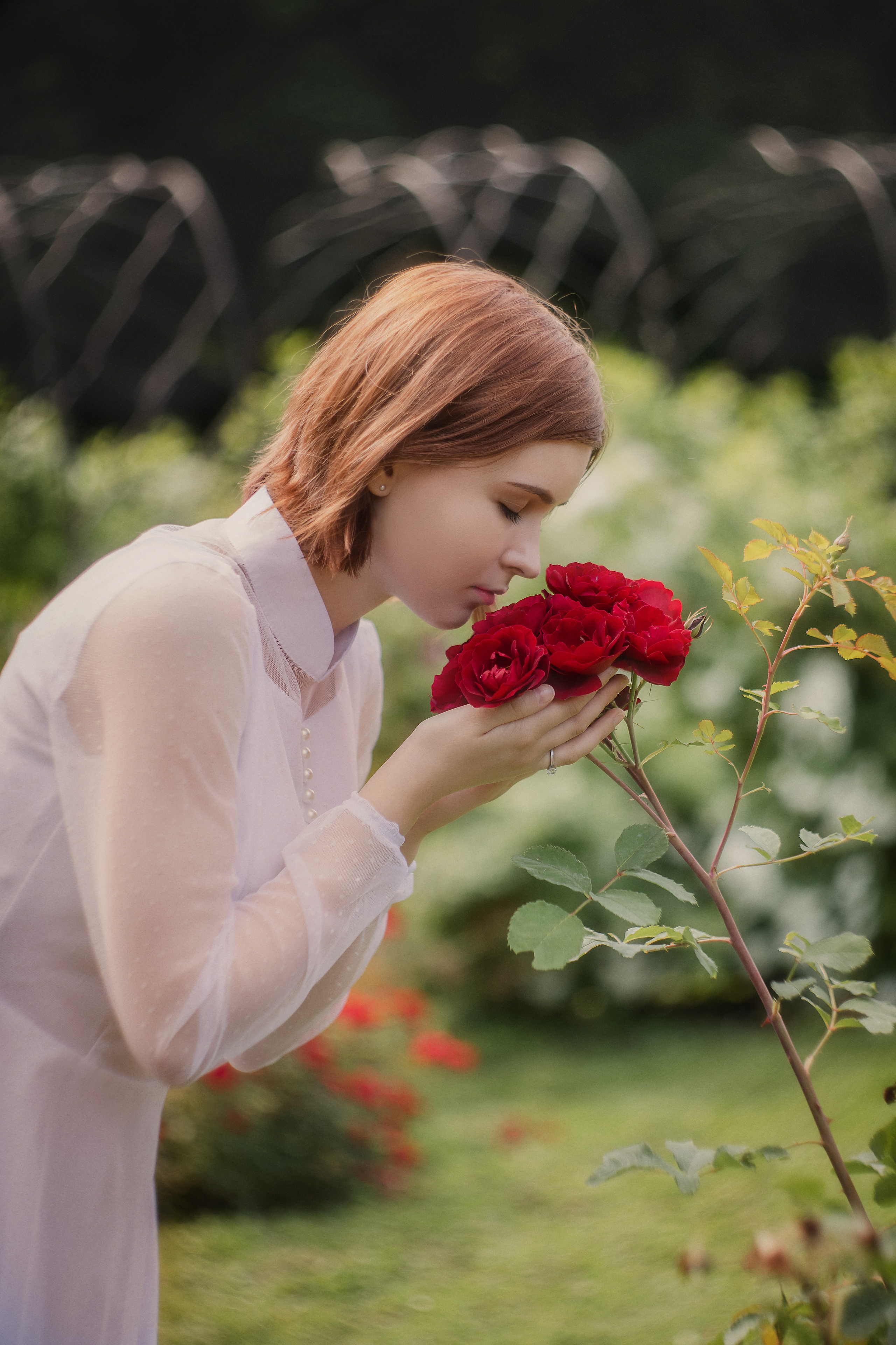 Летом в розарии. Юлия Башкатова, сказочный фотограф, Москва