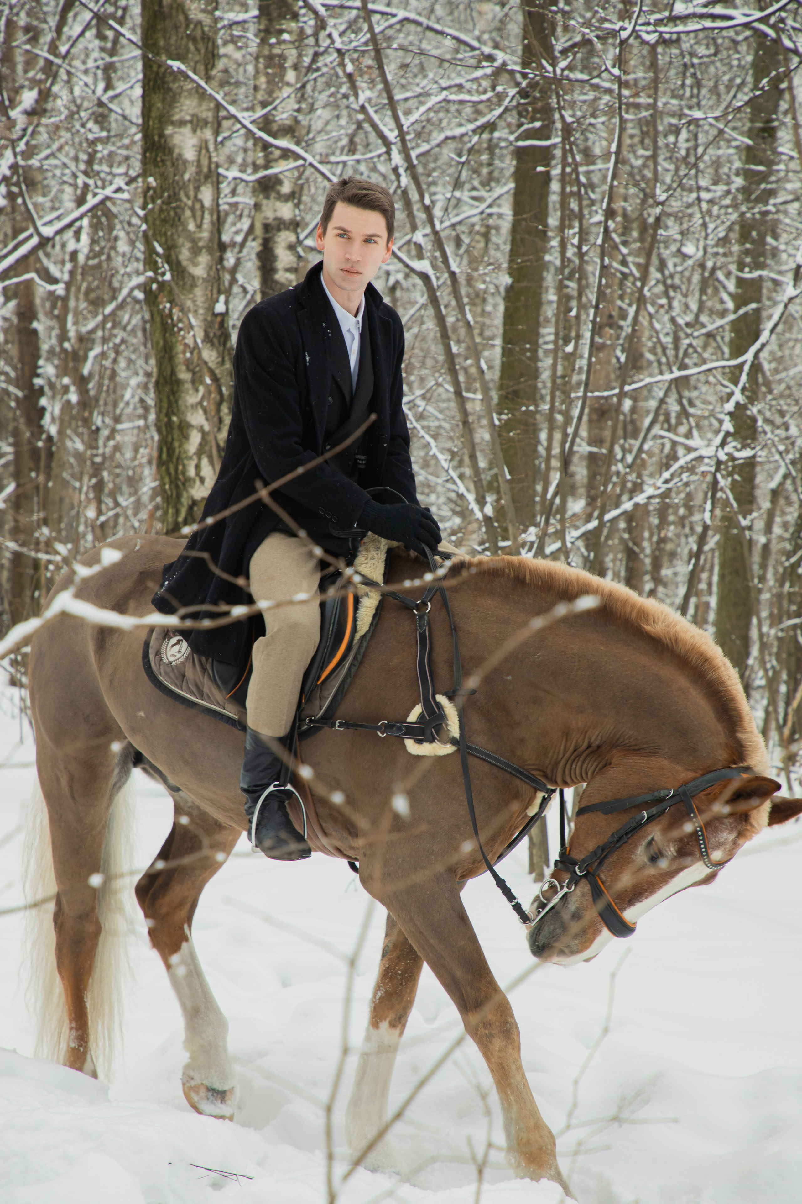 Иван, фотопроект с лошадьми. Юлия Башкатова, сказочный фотограф, Москва