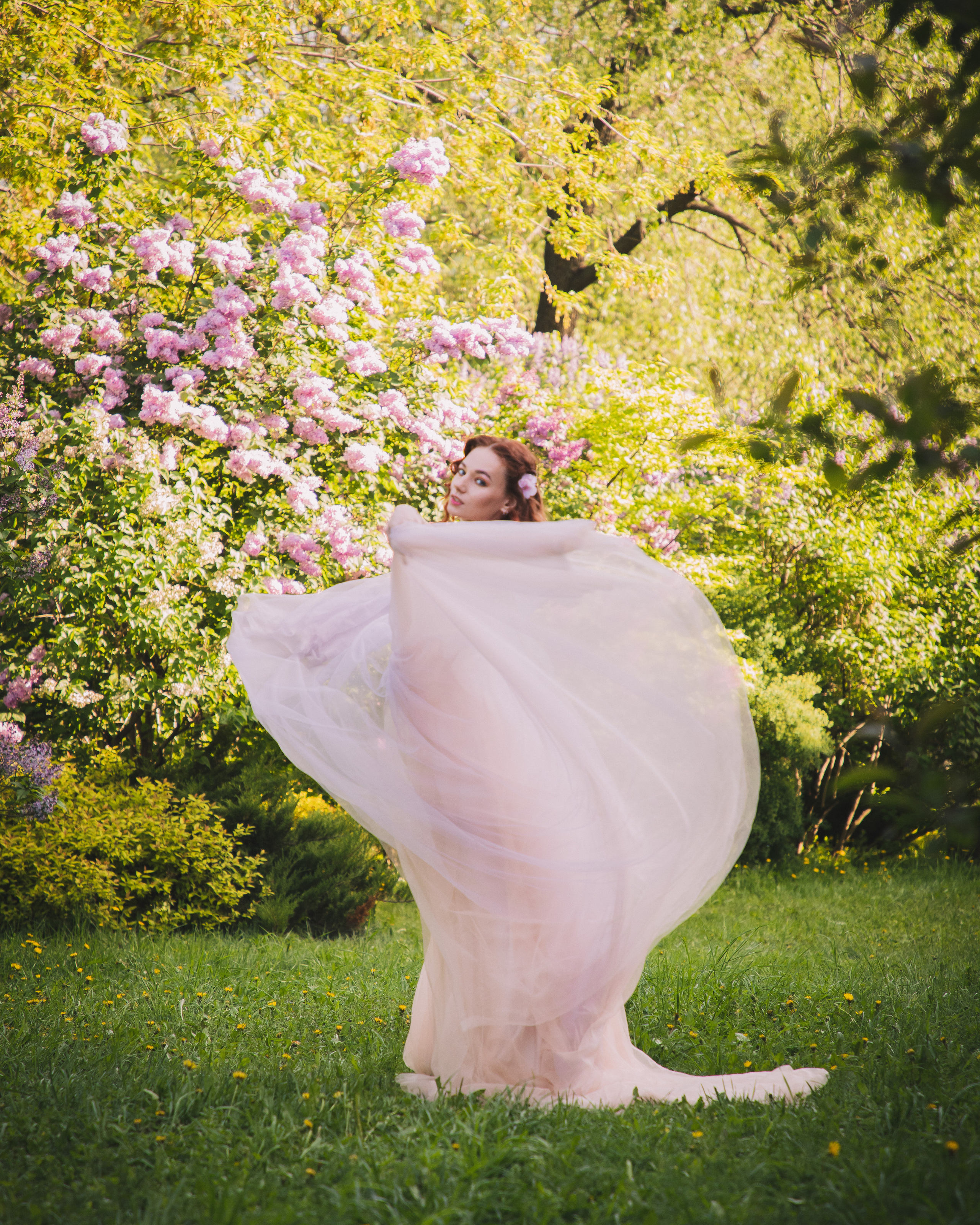 Розовое цветение. Юлия Башкатова, сказочный фотограф, Москва