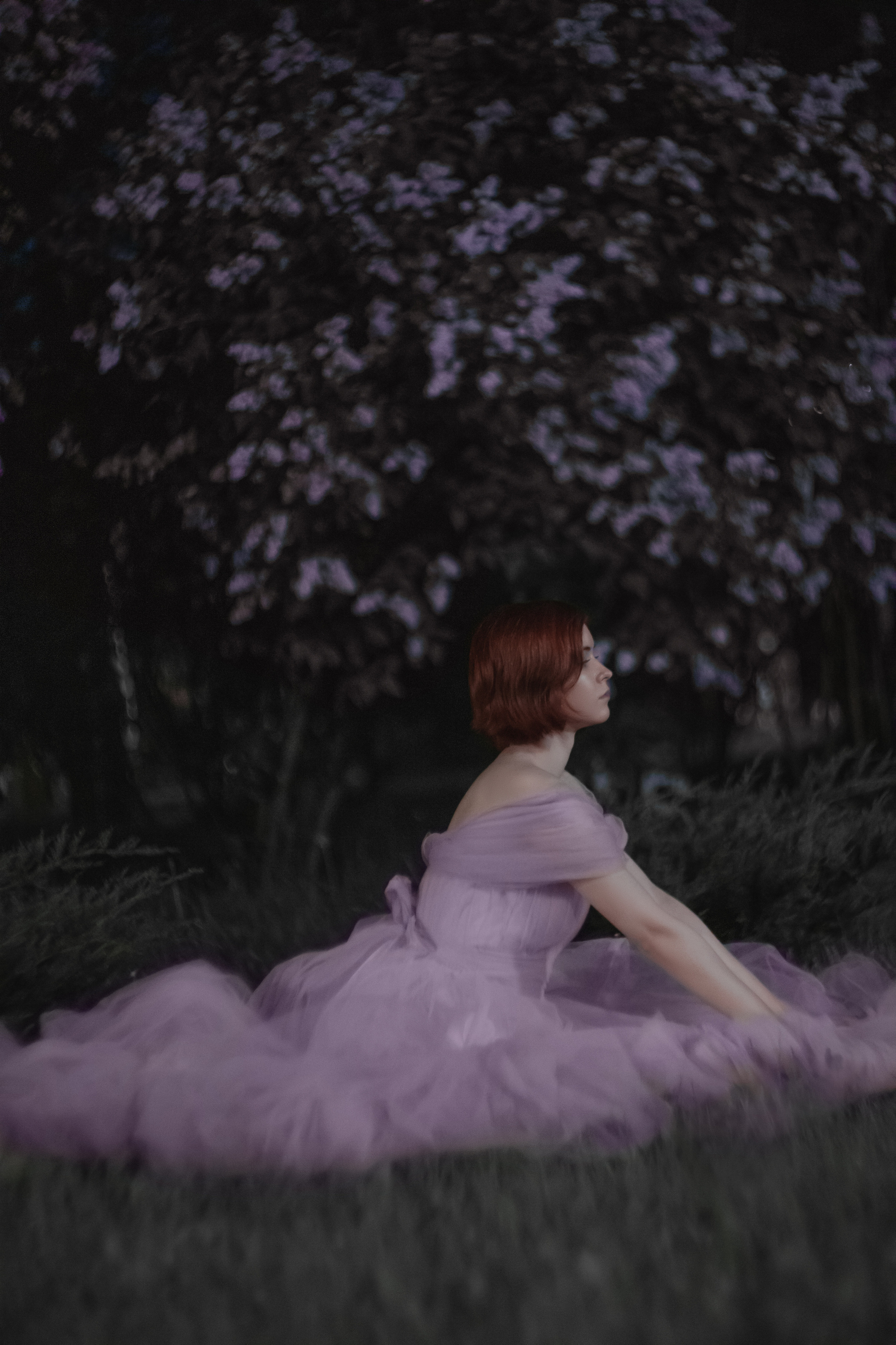 Ночная в сирени. Юлия Башкатова, сказочный фотограф, Москва