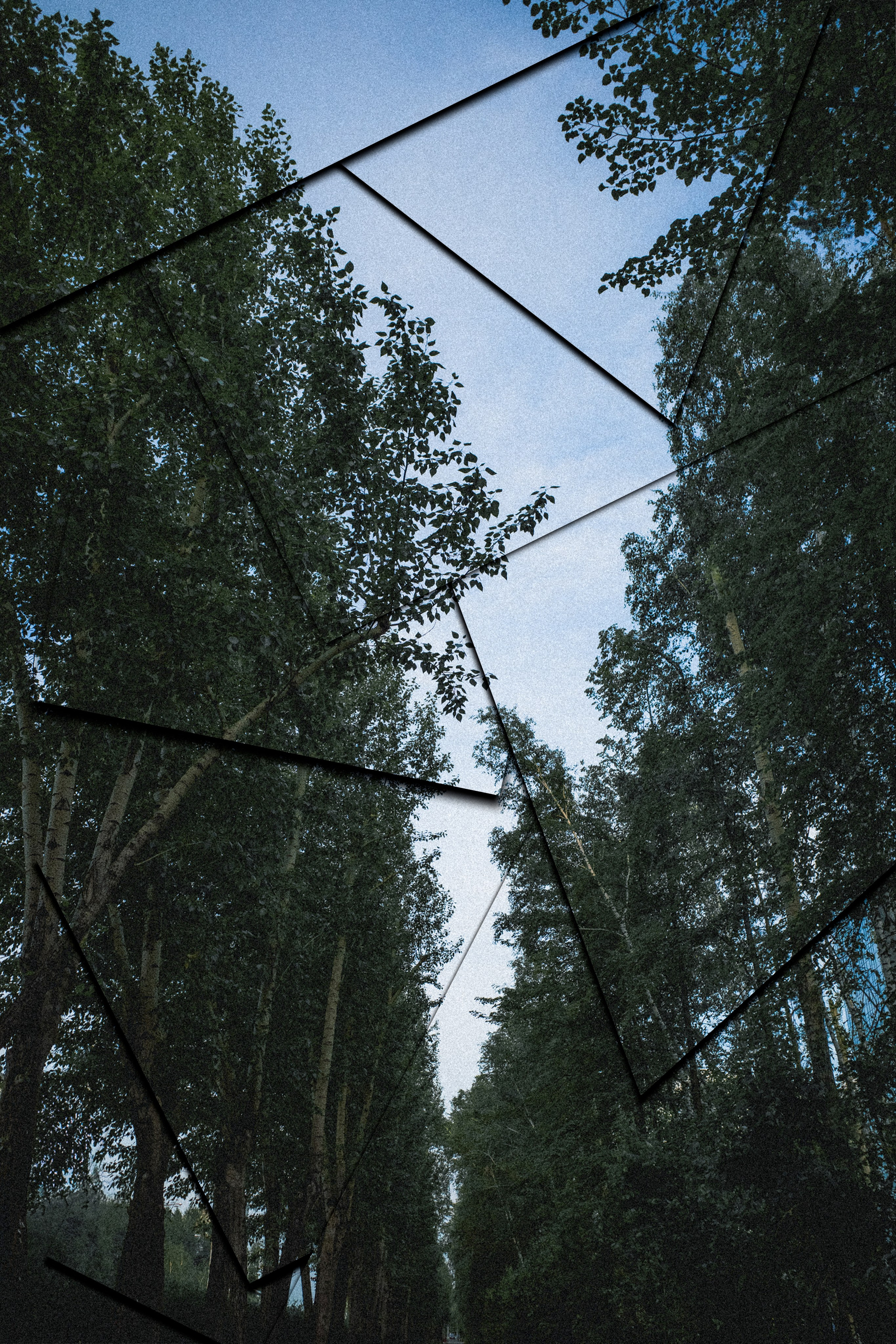 Artwork. Фотограф Ваня Бархатов