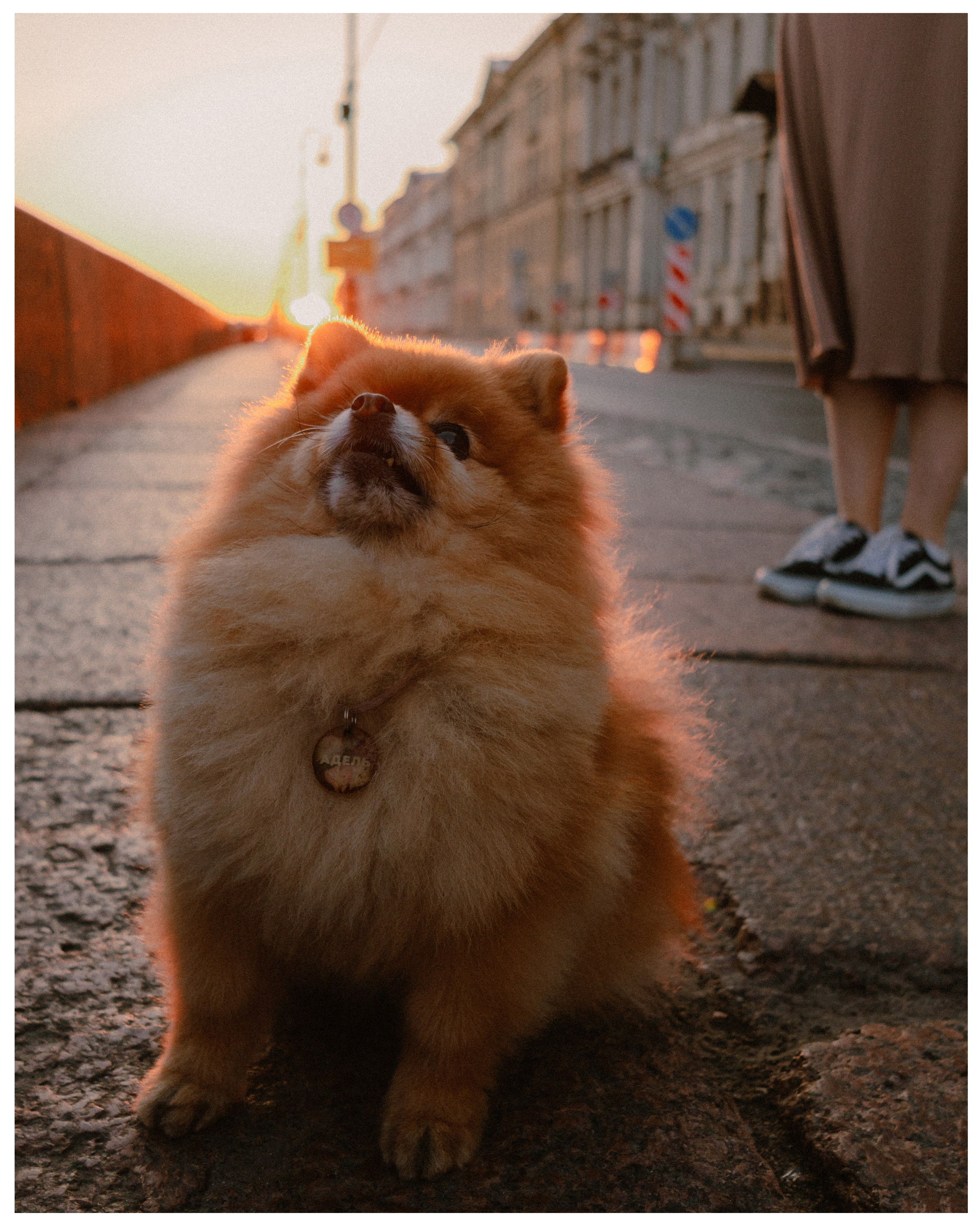 Карина и Адель. Фотограф в Санкт-Петербурге Алёна Губинская